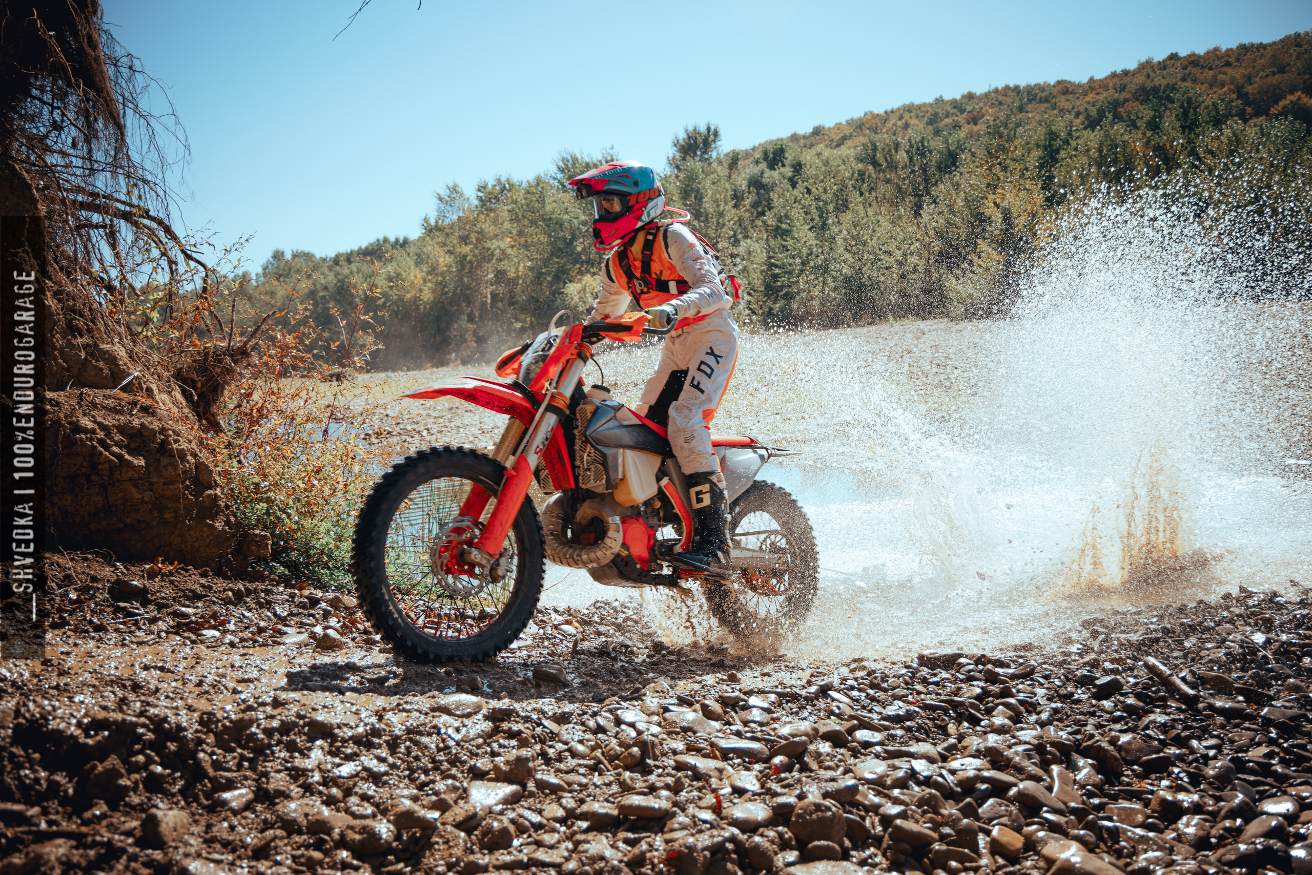 1 лесной день. Ваш экстрим фотограф Кудрева Яна