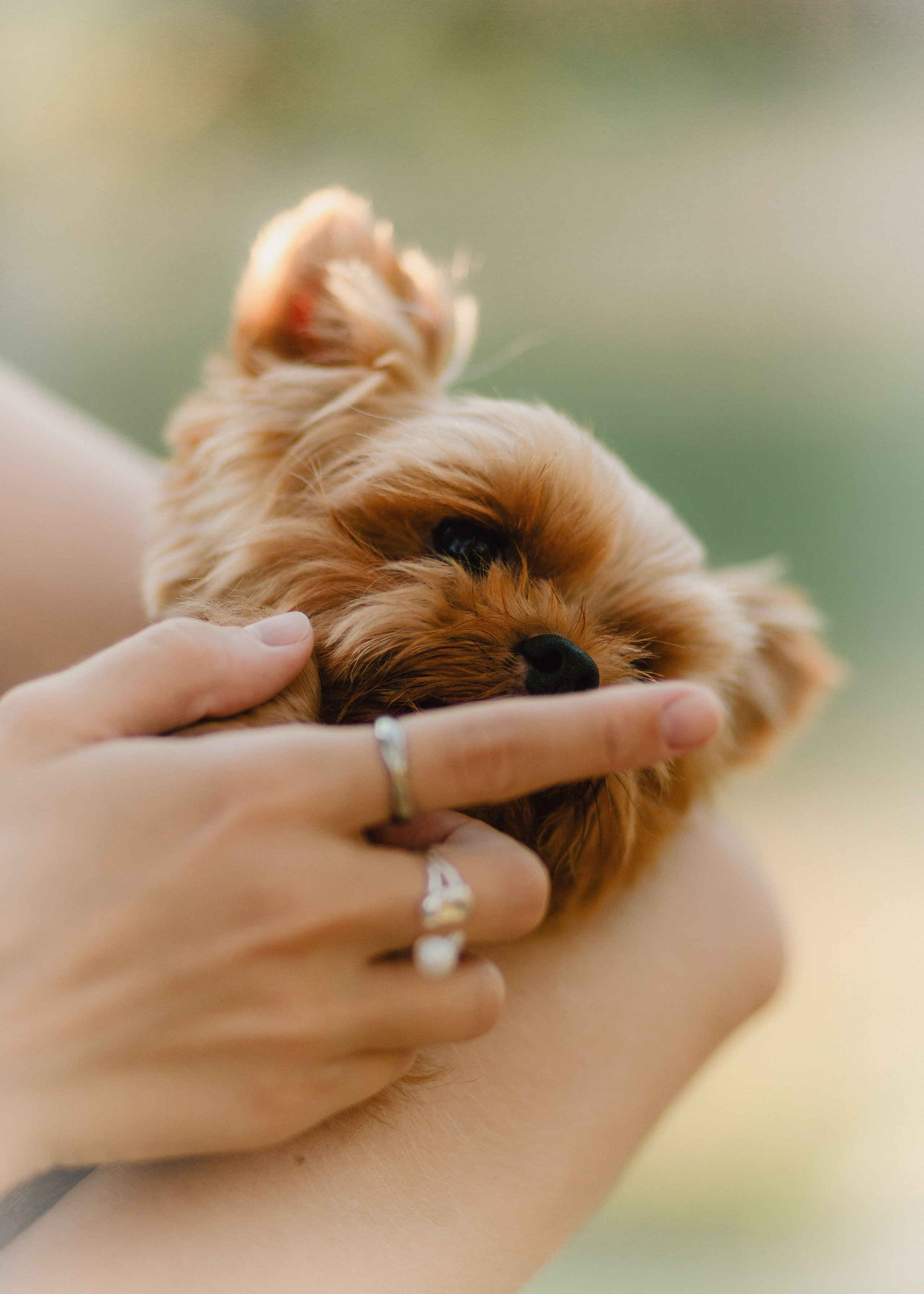 Julia & Her Playful Stitch. Barbara Isaeva