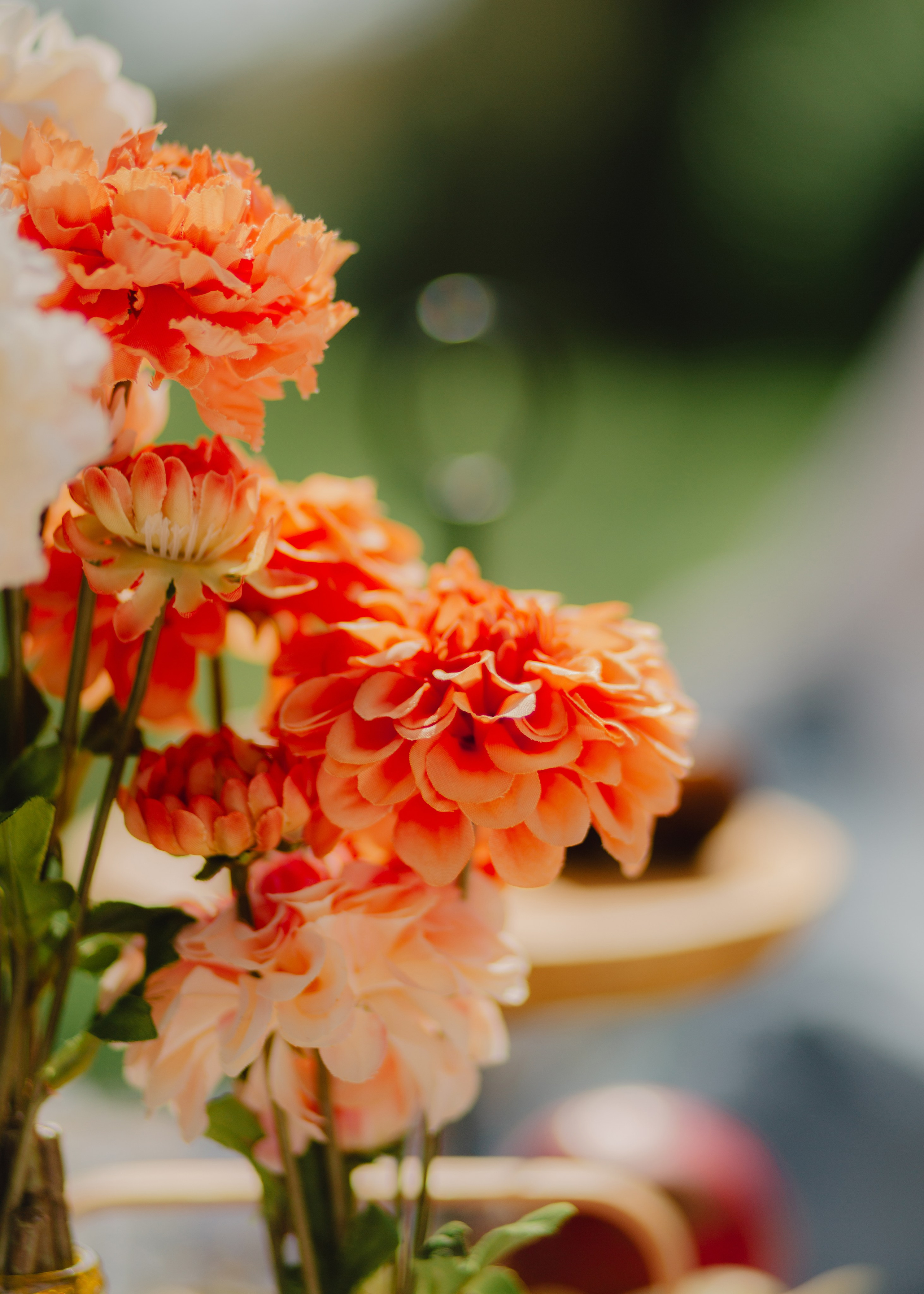 Morning Tea & Sunshine. Barbara Isaeva