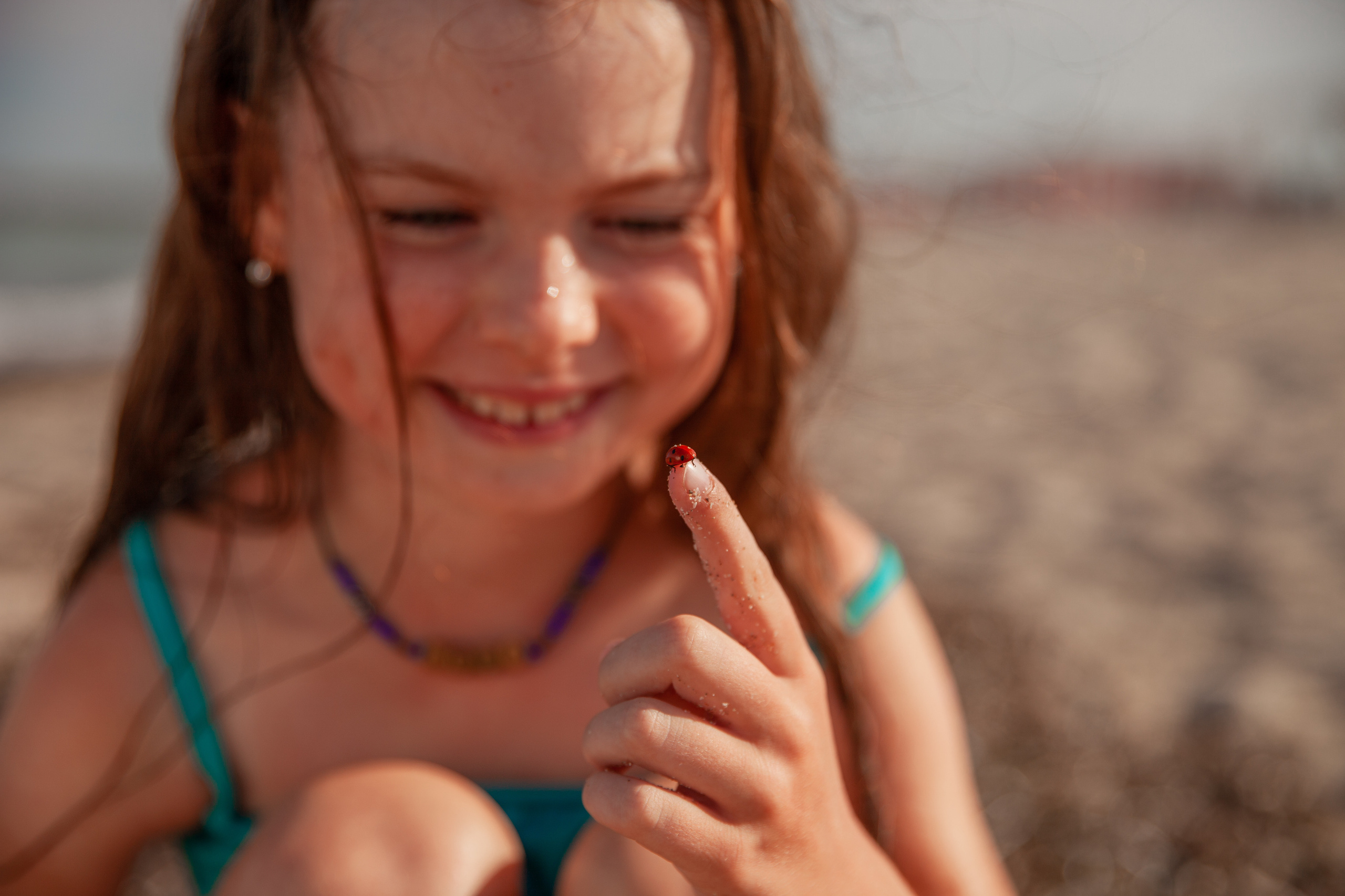 божья коровка