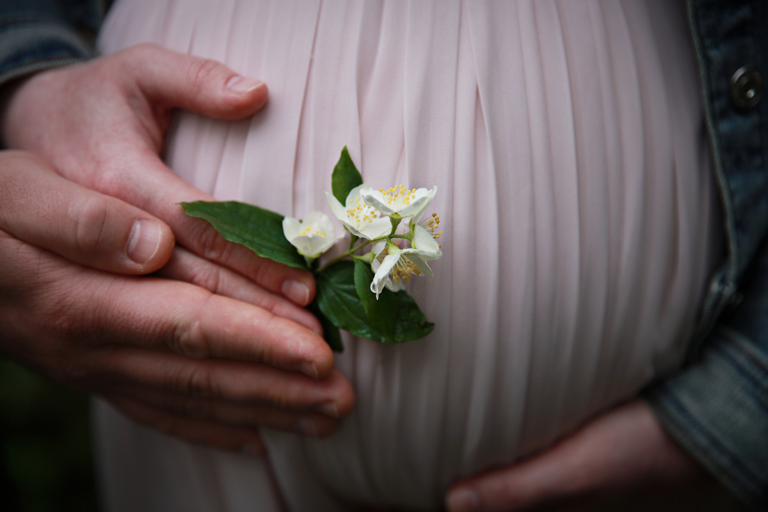 Живот и цветок