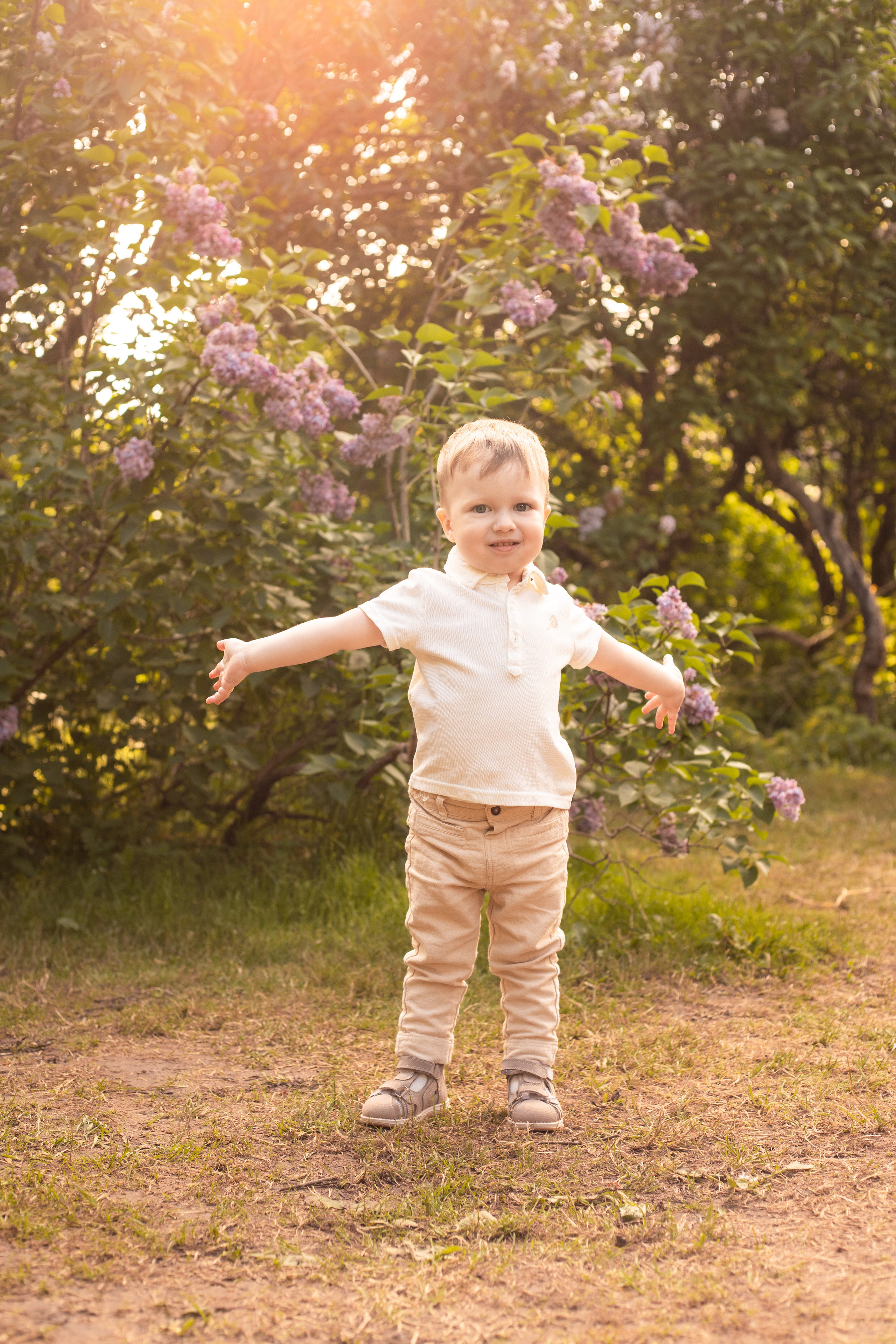 в солнечных лучах
