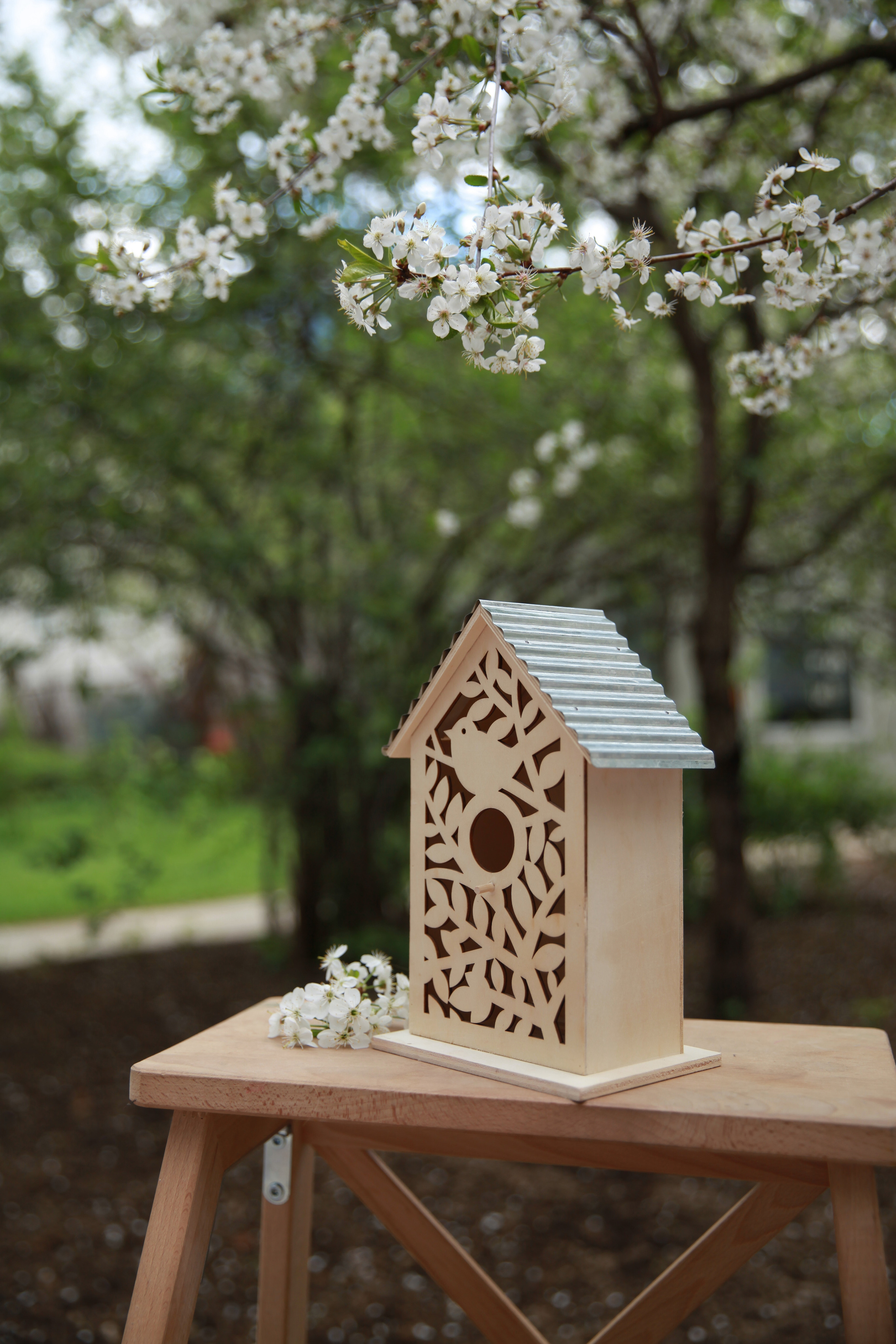 Фотосессия в цветах. Фотограф в Железнодорожном и Балашихе