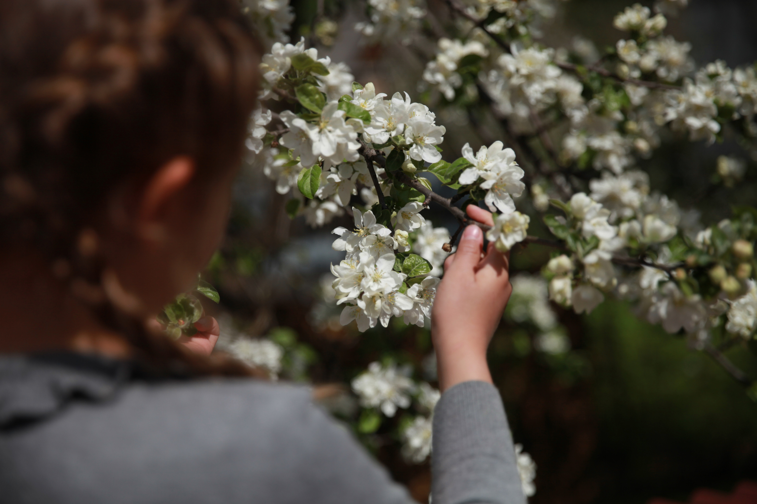 Фотосессия в цветах. Фотограф в Железнодорожном и Балашихе