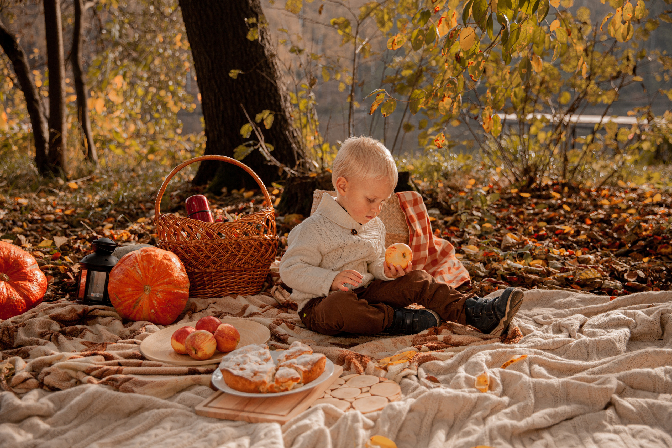 Фотосессии осенью. Фотограф в Железнодорожном и Балашихе