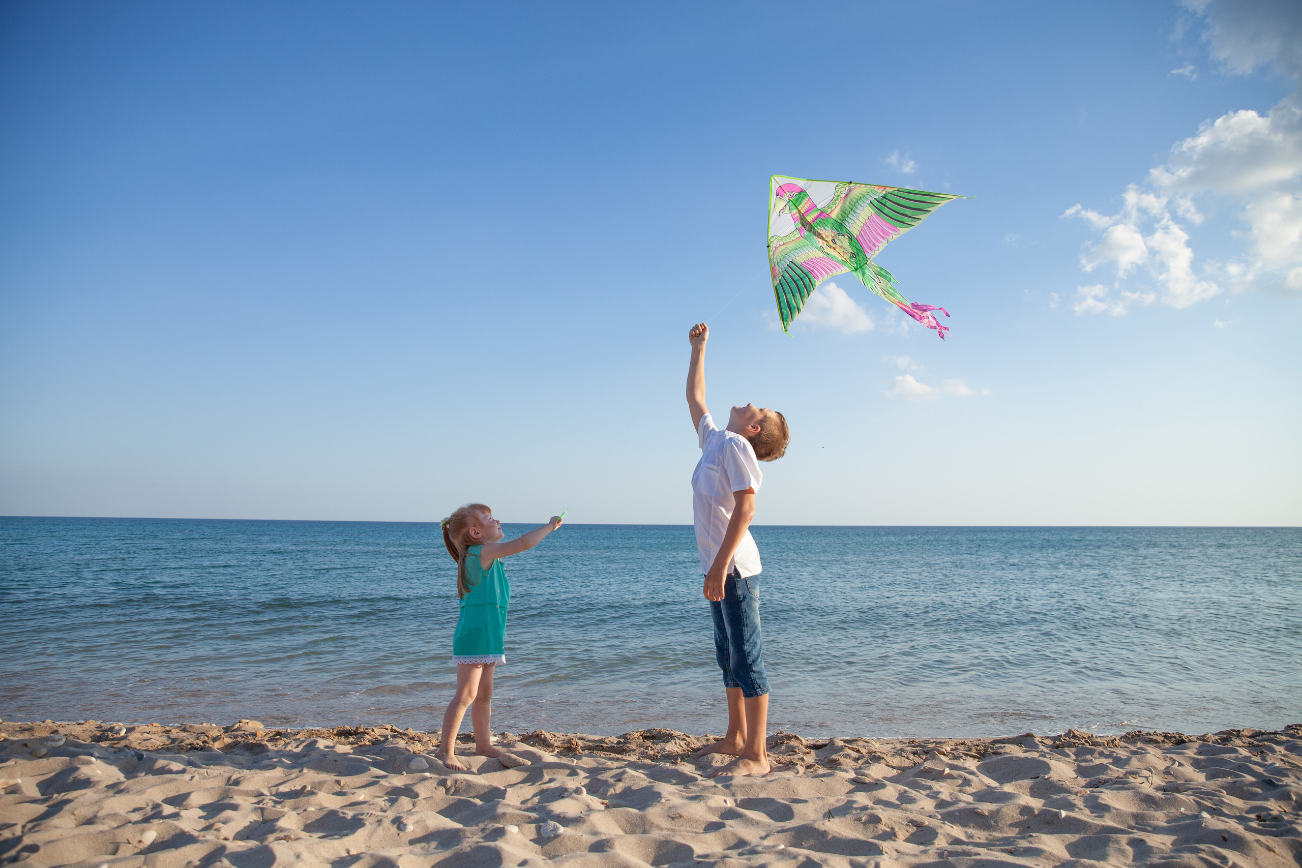 запускают змея