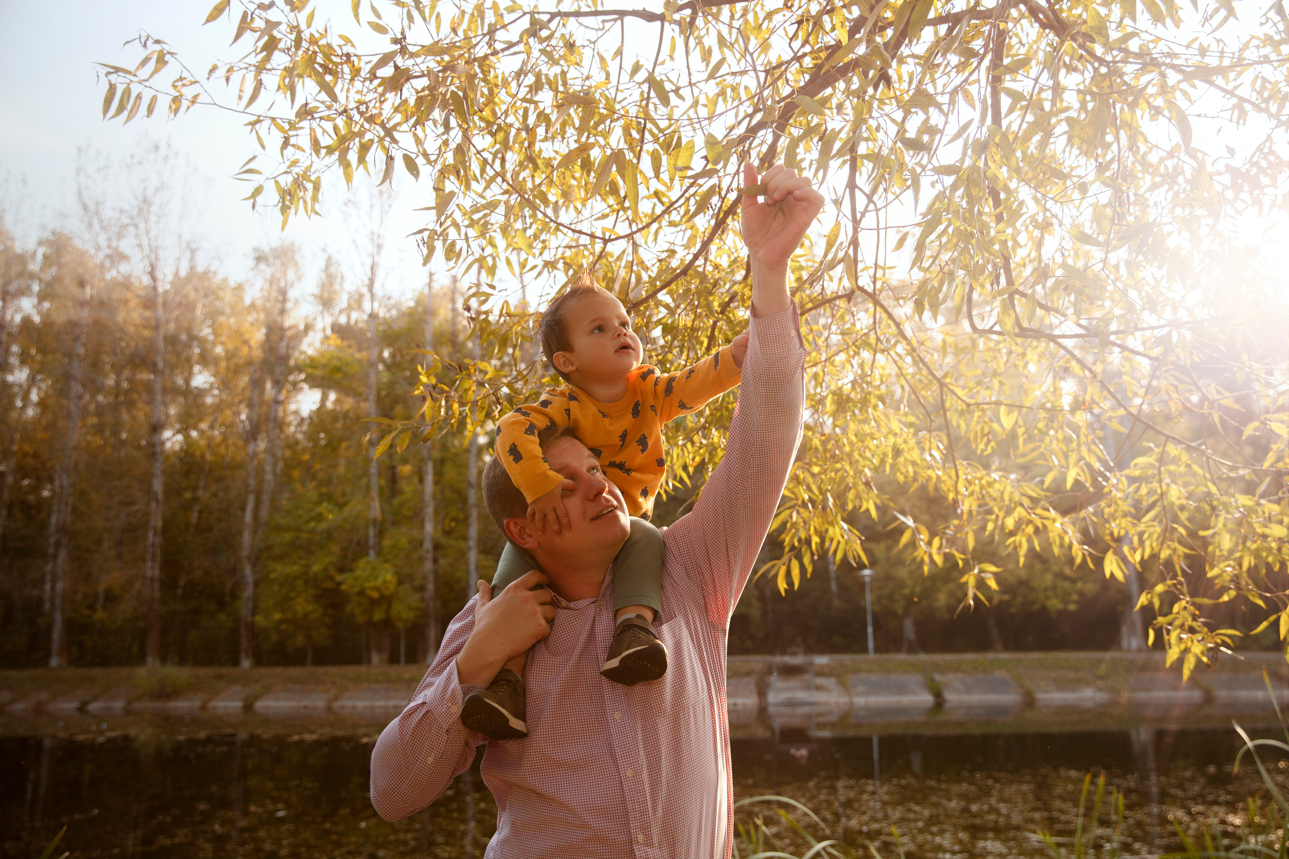 папа и сын в листве