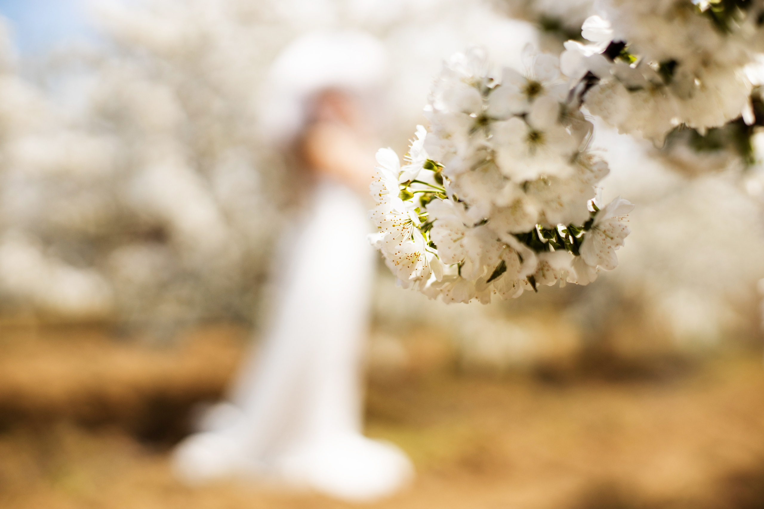 Фотосессия в цветах. Фотограф в Железнодорожном и Балашихе