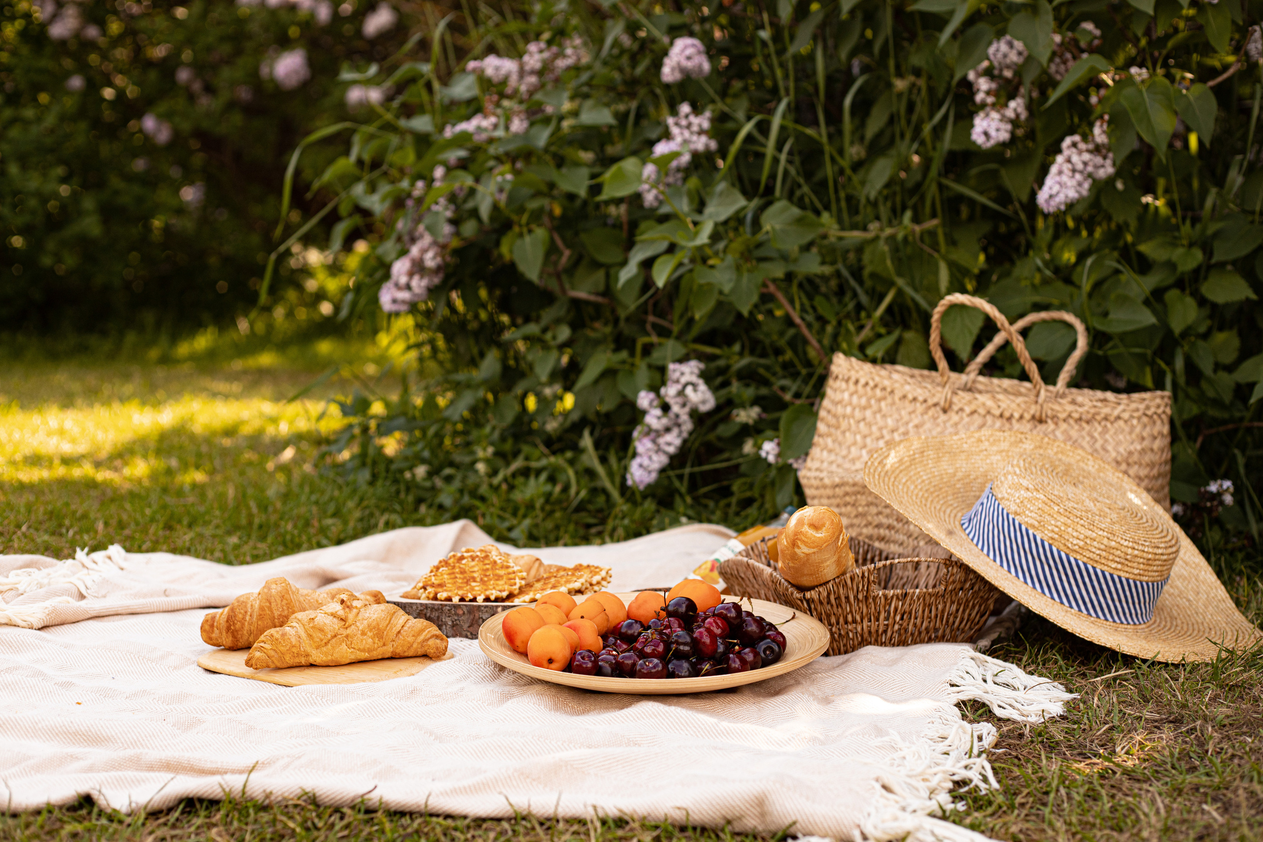 красивый пикник