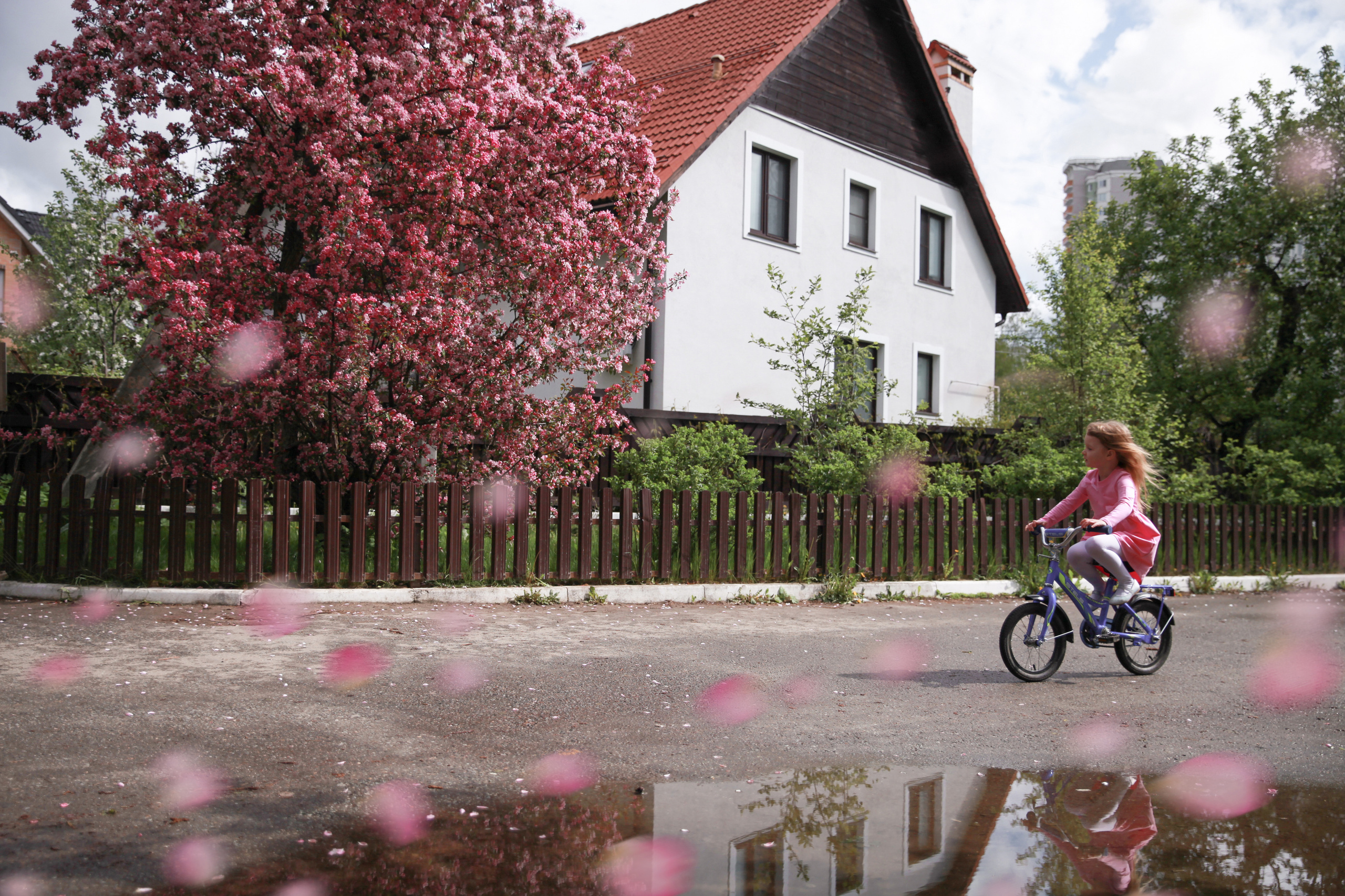 Фотосессия в цветах. Фотограф в Железнодорожном и Балашихе