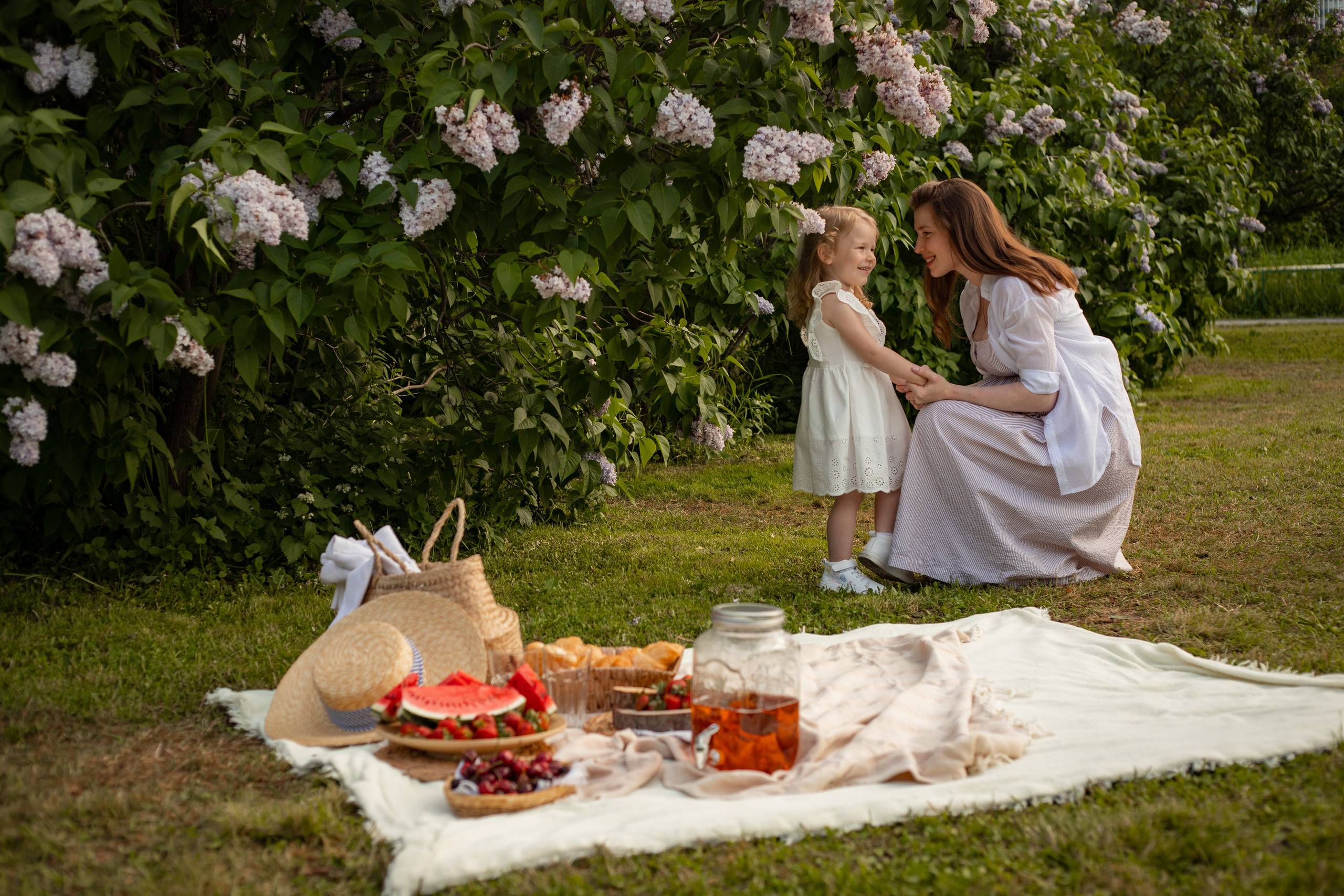 красивый пикник на траве