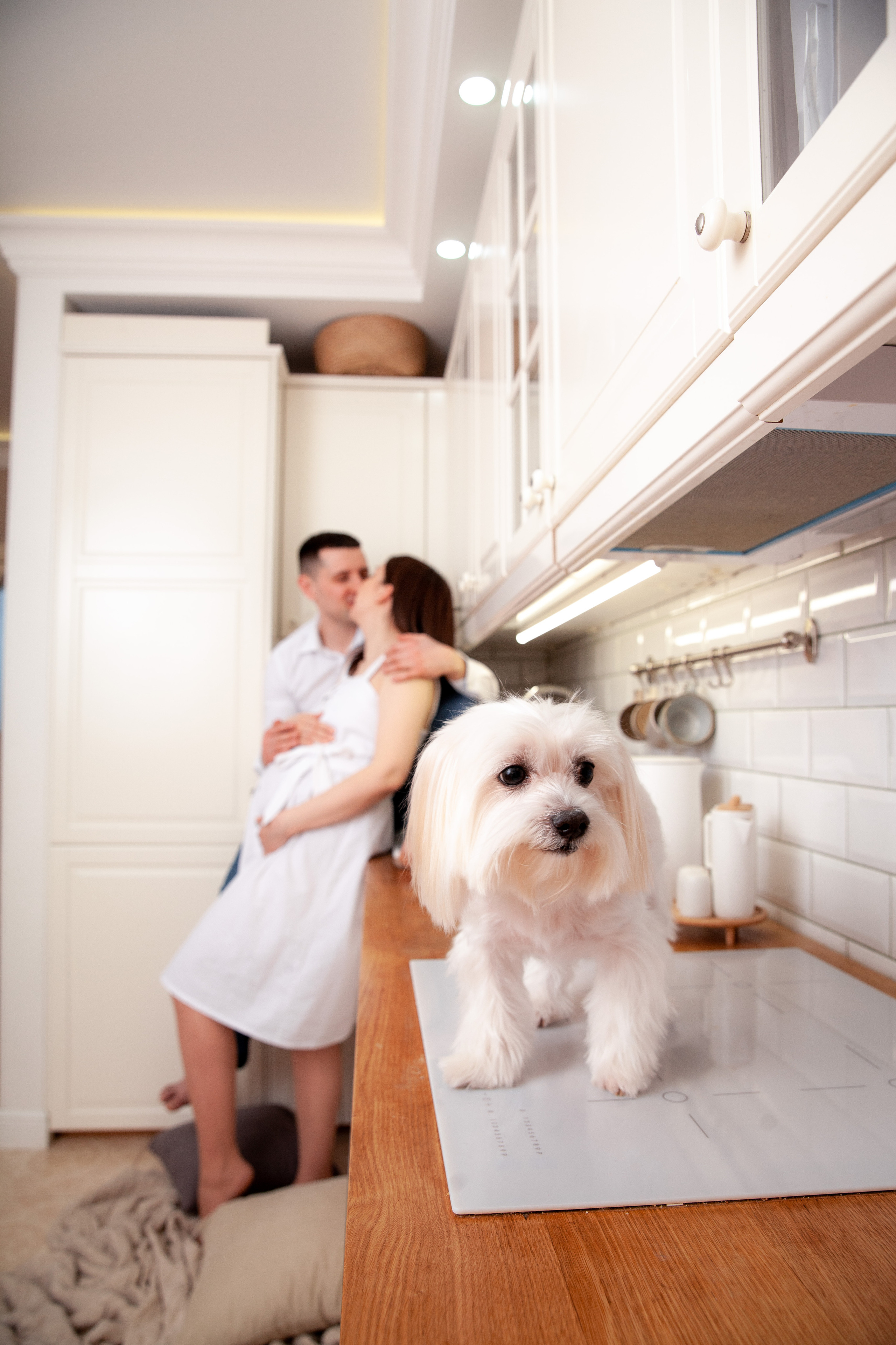 Собачка на кухне