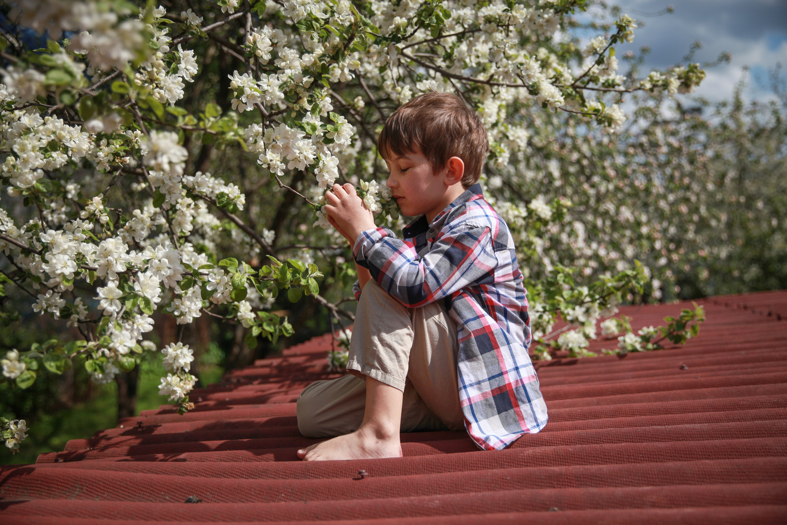 Фотосессия в цветах. Фотограф в Железнодорожном и Балашихе
