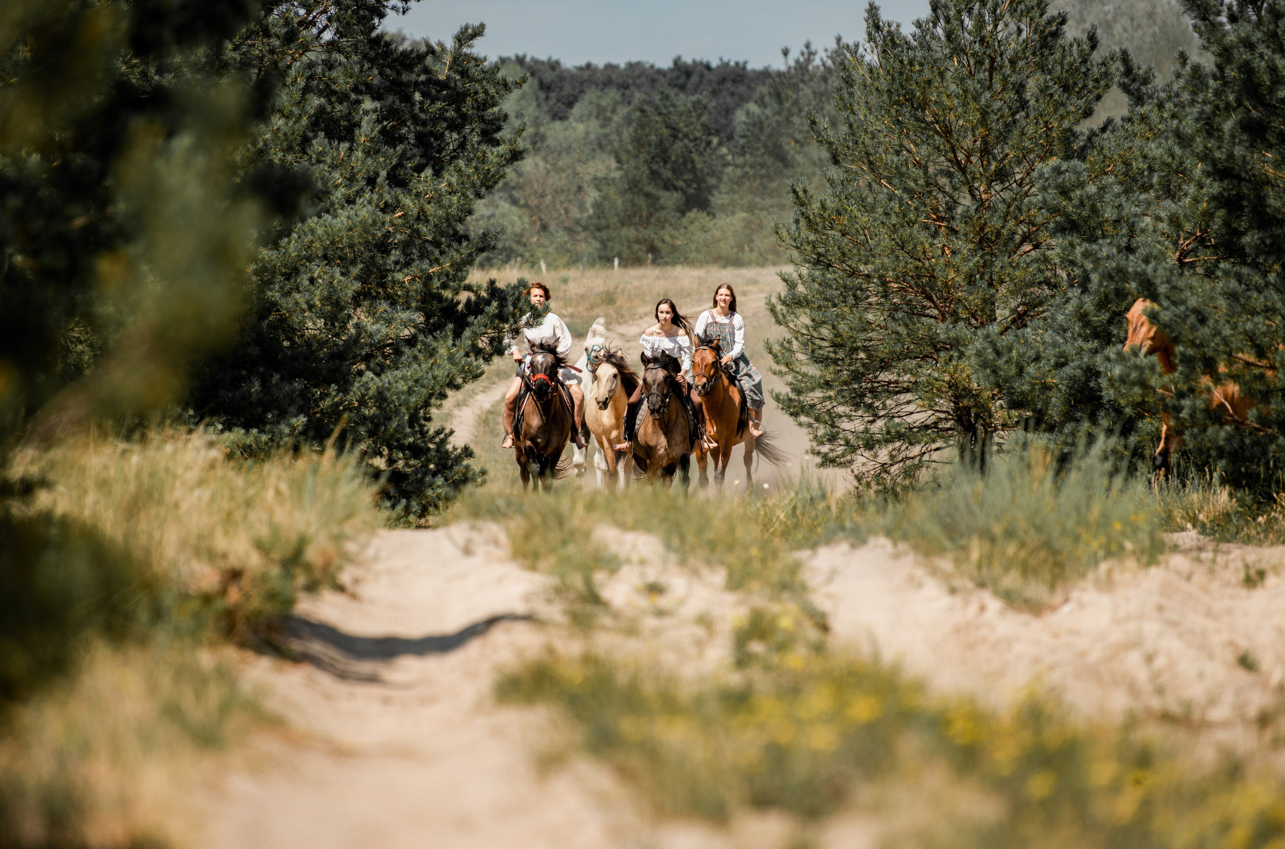Купала в Родославном. Конный фотограф в Саратове Юлия Иванова
