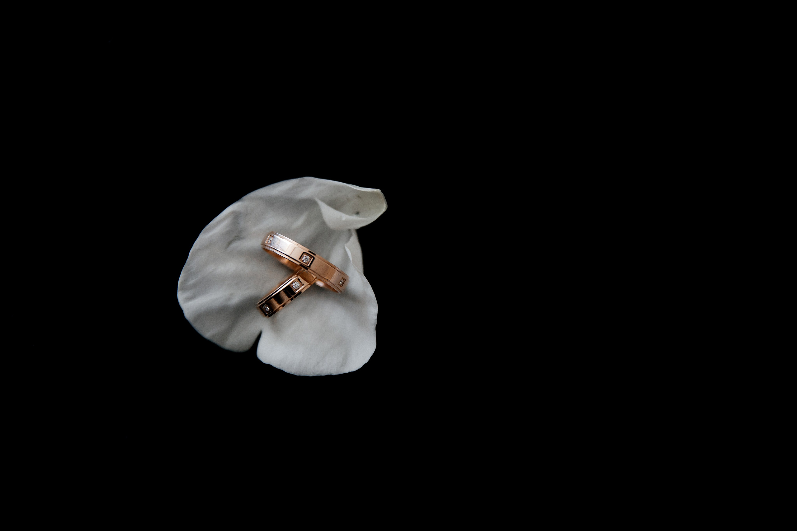 Владимир и Ангелина. Свадебный и семейный фотограф в Севастополе и Крыму Анастасия Сураева