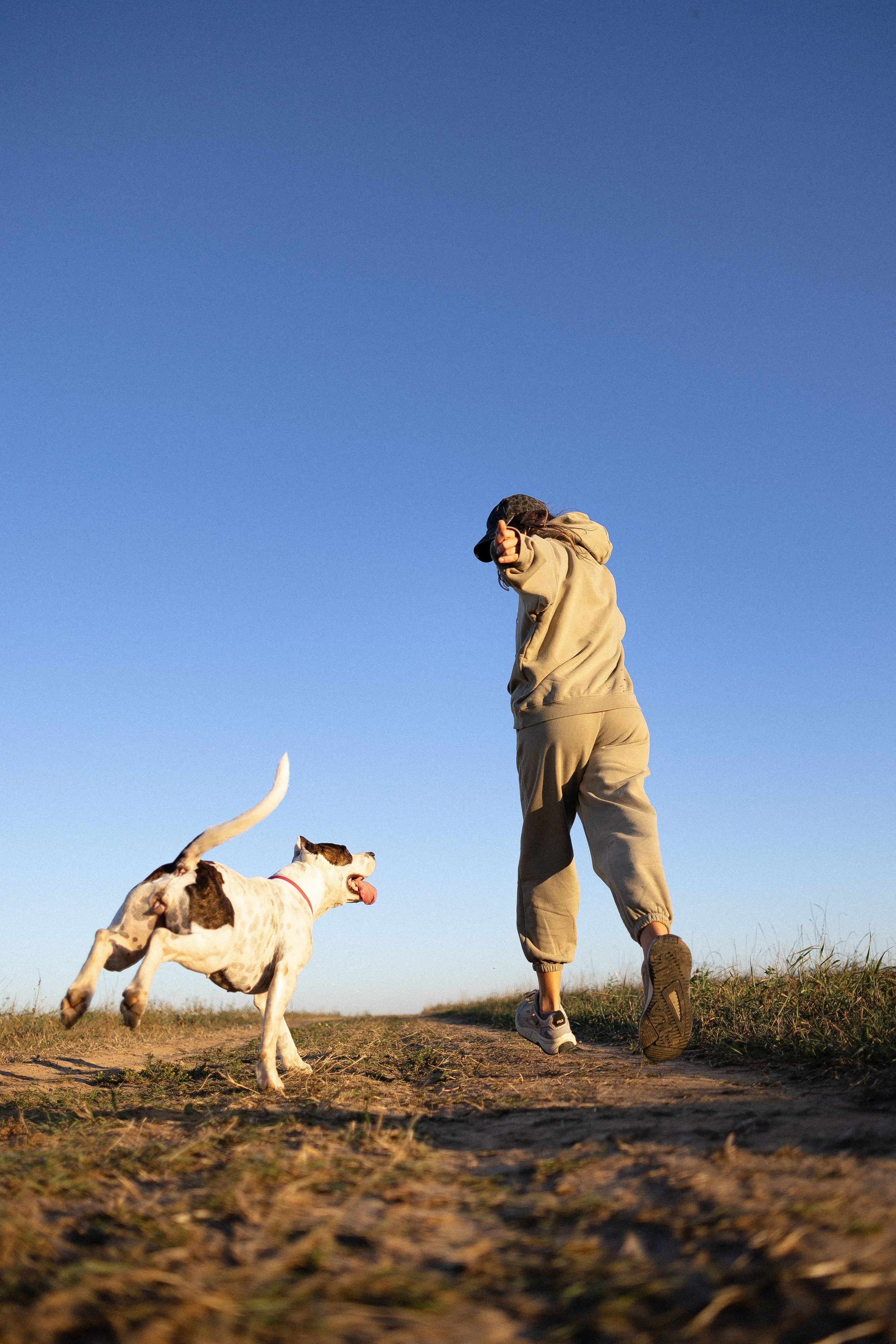 Женя, Афра и Молли. Фотограф и видеограф анималист Аганина Дарья
