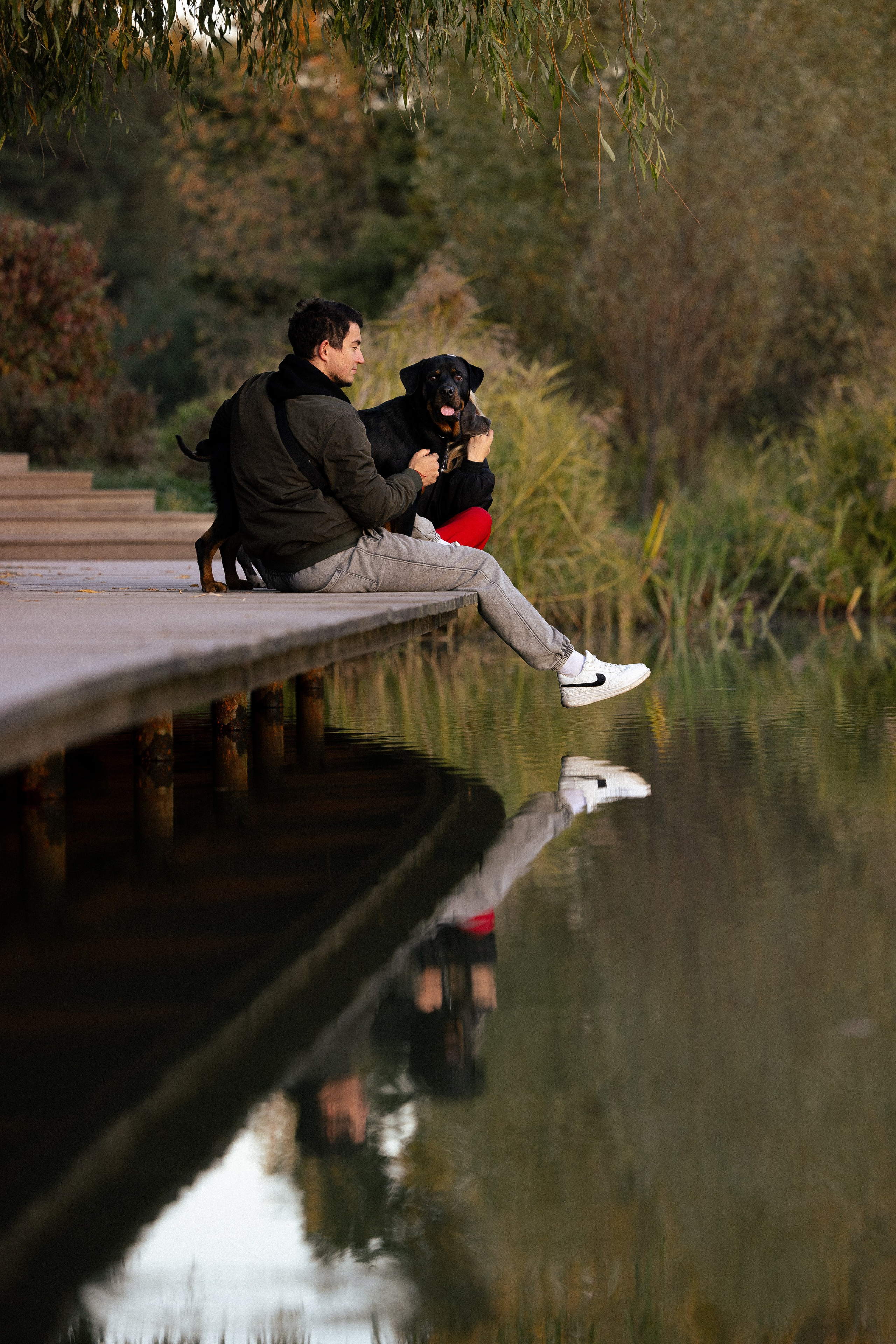 Катя, Леша, Лея и Трой. Фотограф и видеограф анималист Аганина Дарья