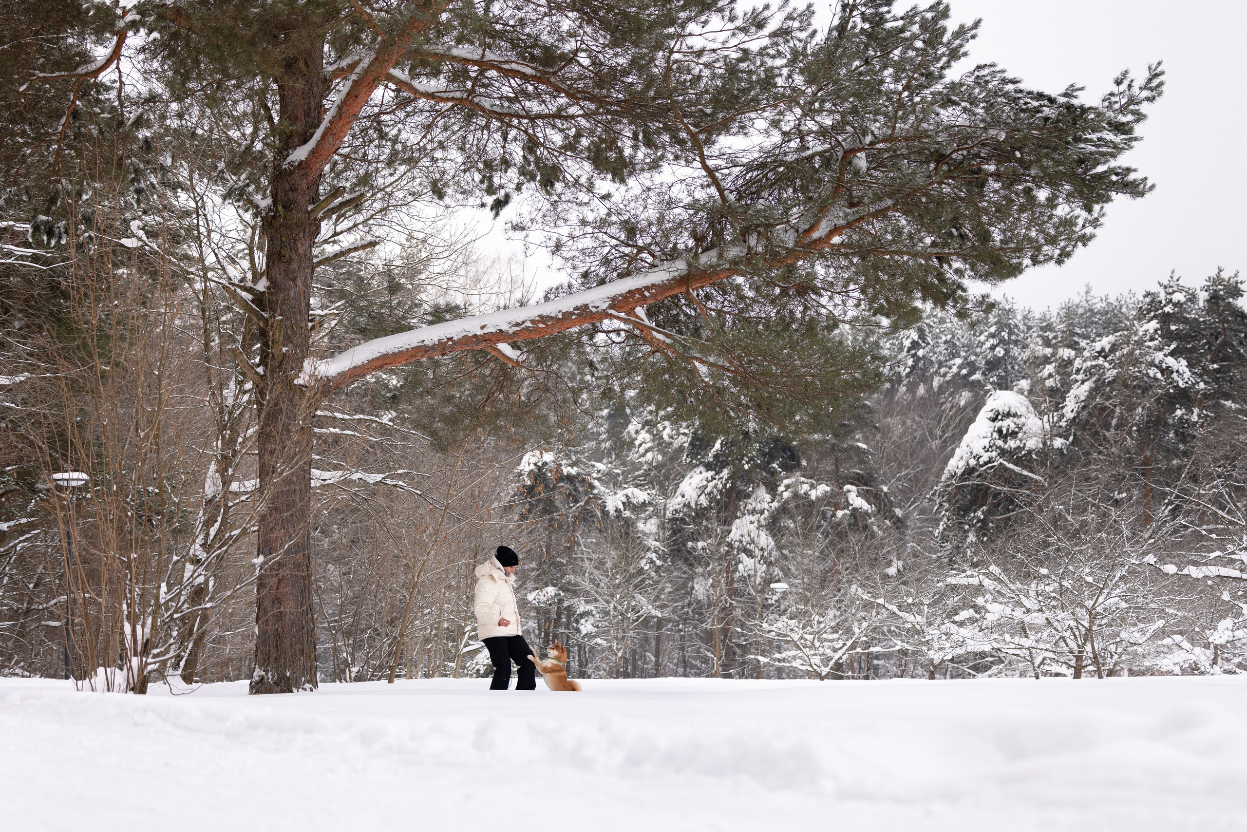 Юми, Серж и Тоши. Фотограф и видеограф анималист Аганина Дарья