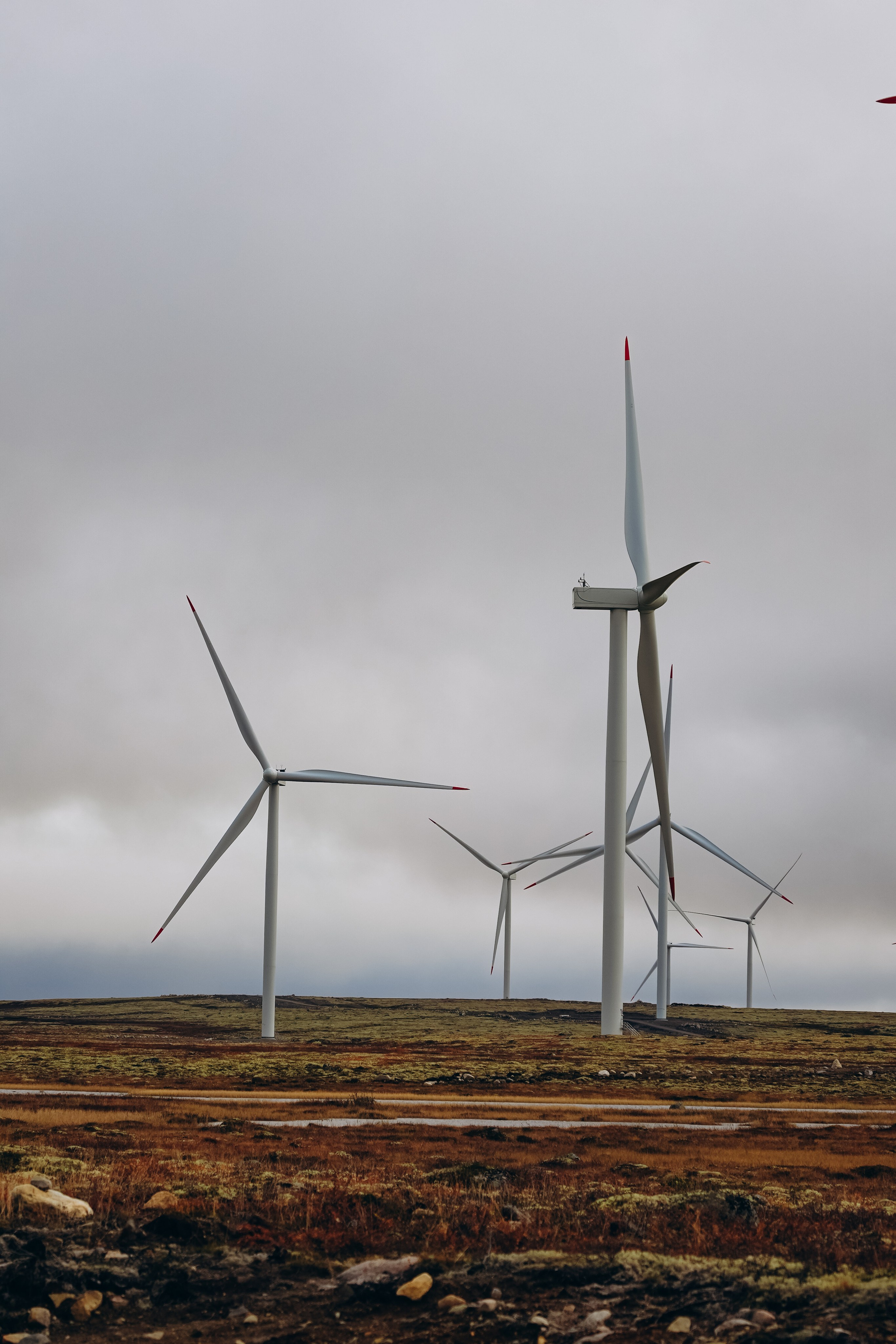 СЕВЕР. Event фотограф Степанова Александра