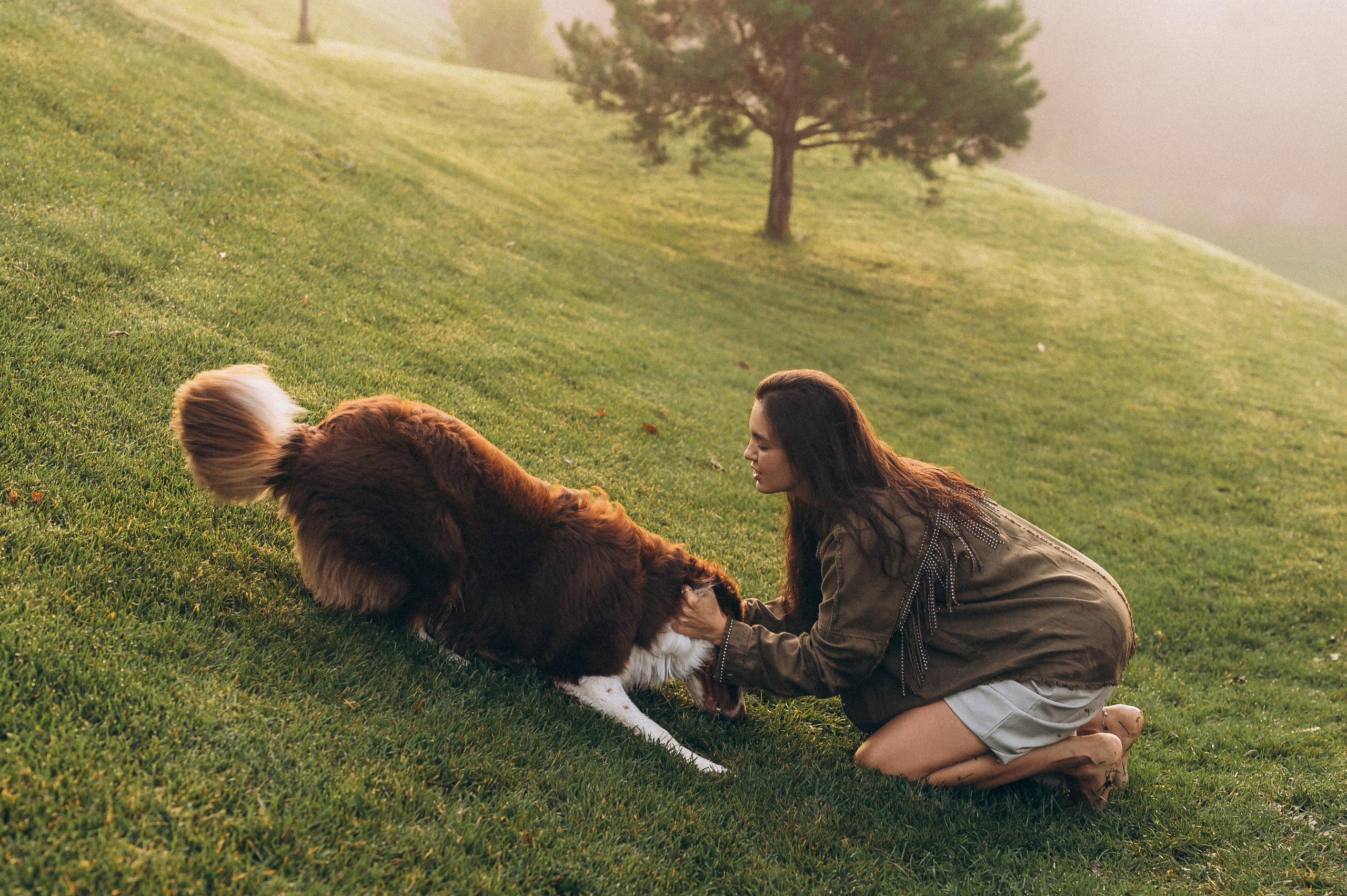 Настя и Оушен. Семейный и свадебный фотограф в Красноярске Садкеева Юлия
