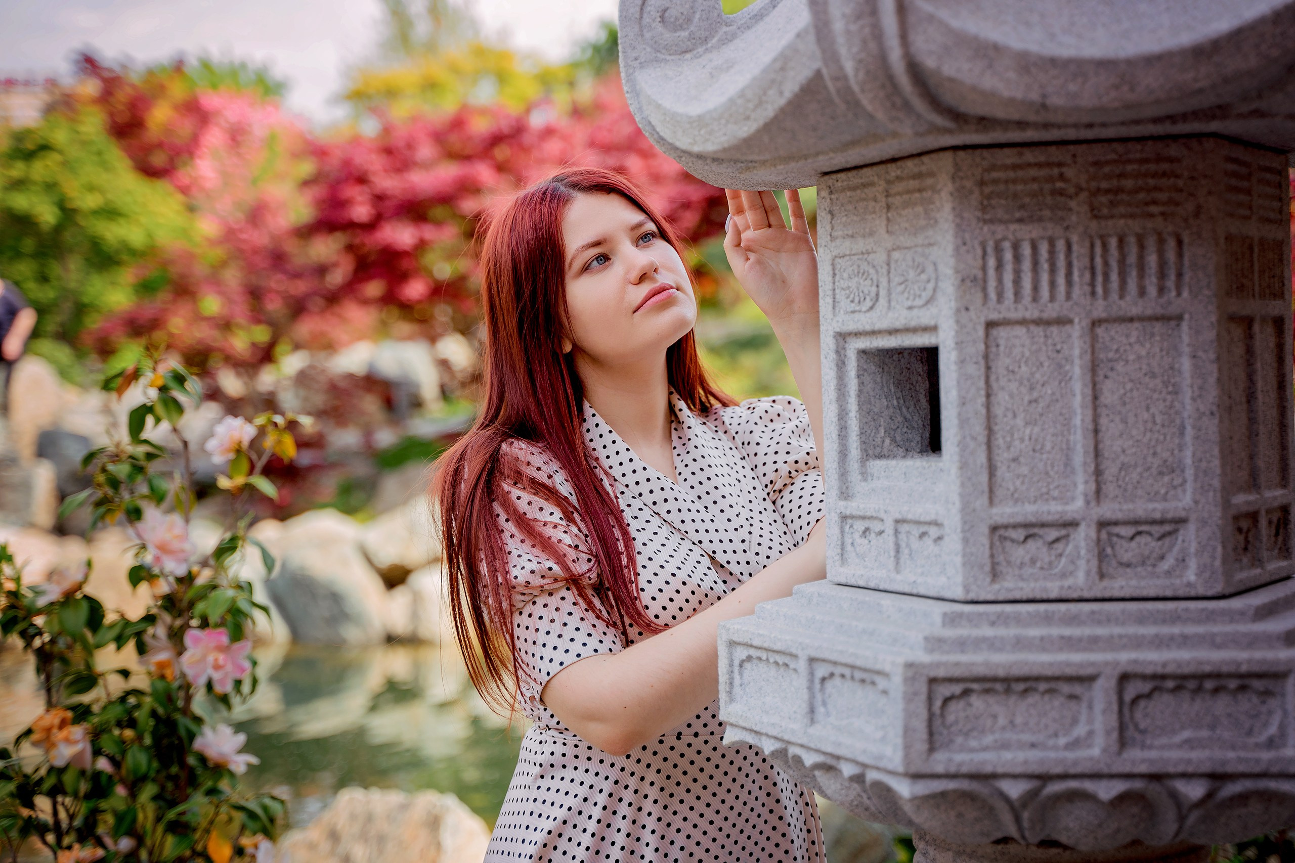 Японский сад. Photographer in Egypt, Hurghada, Luxor, Safaga