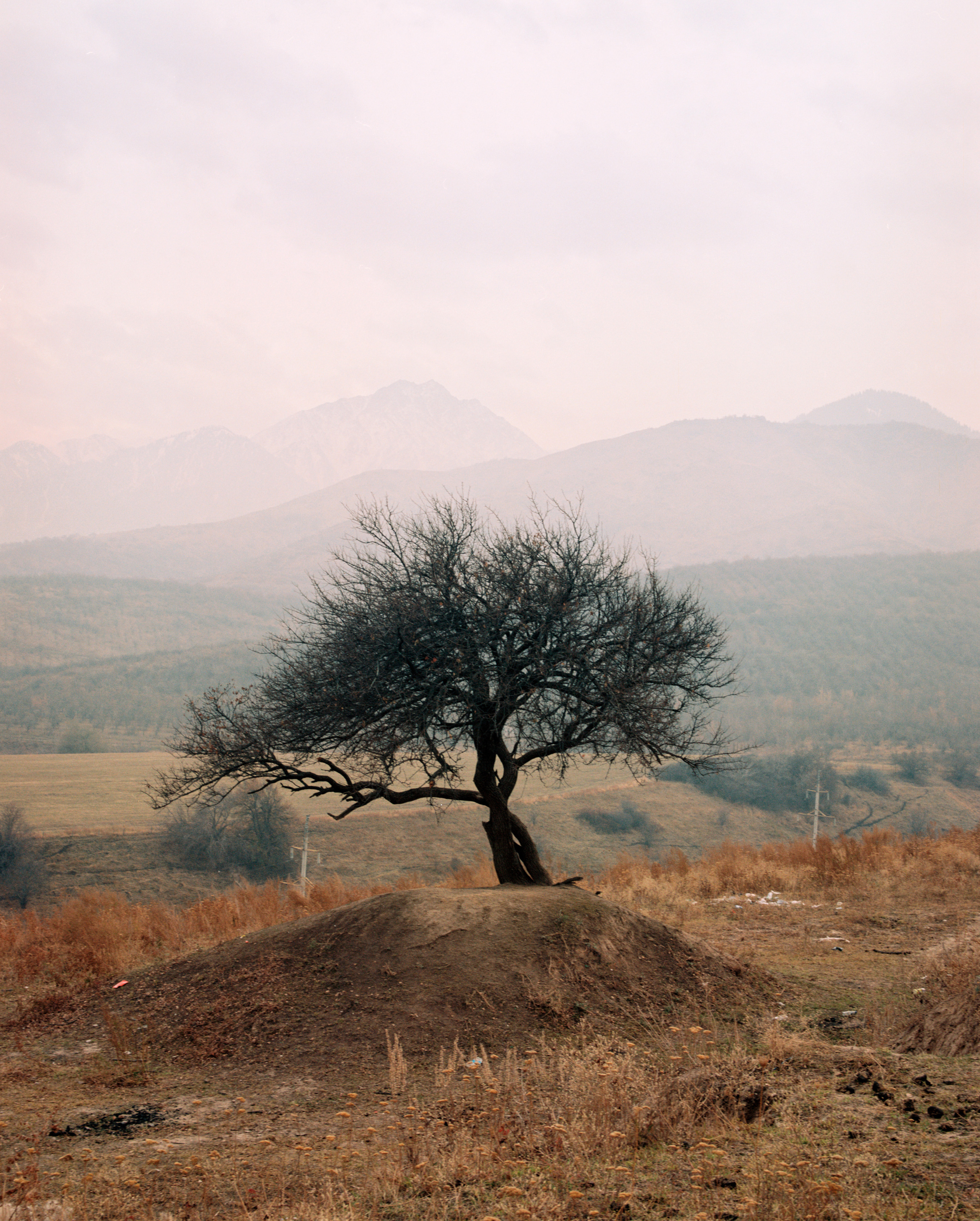 Landscape. Valerii Konkov