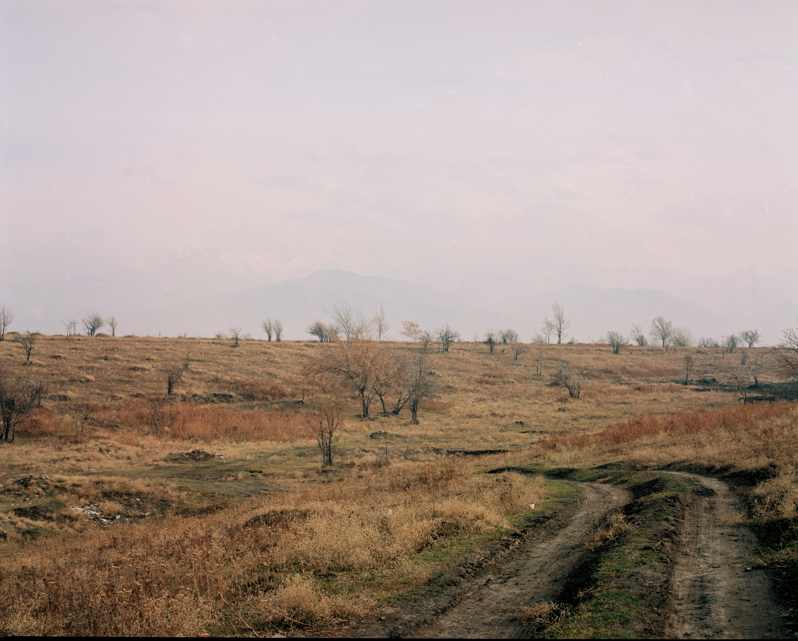 Landscape. Valerii Konkov