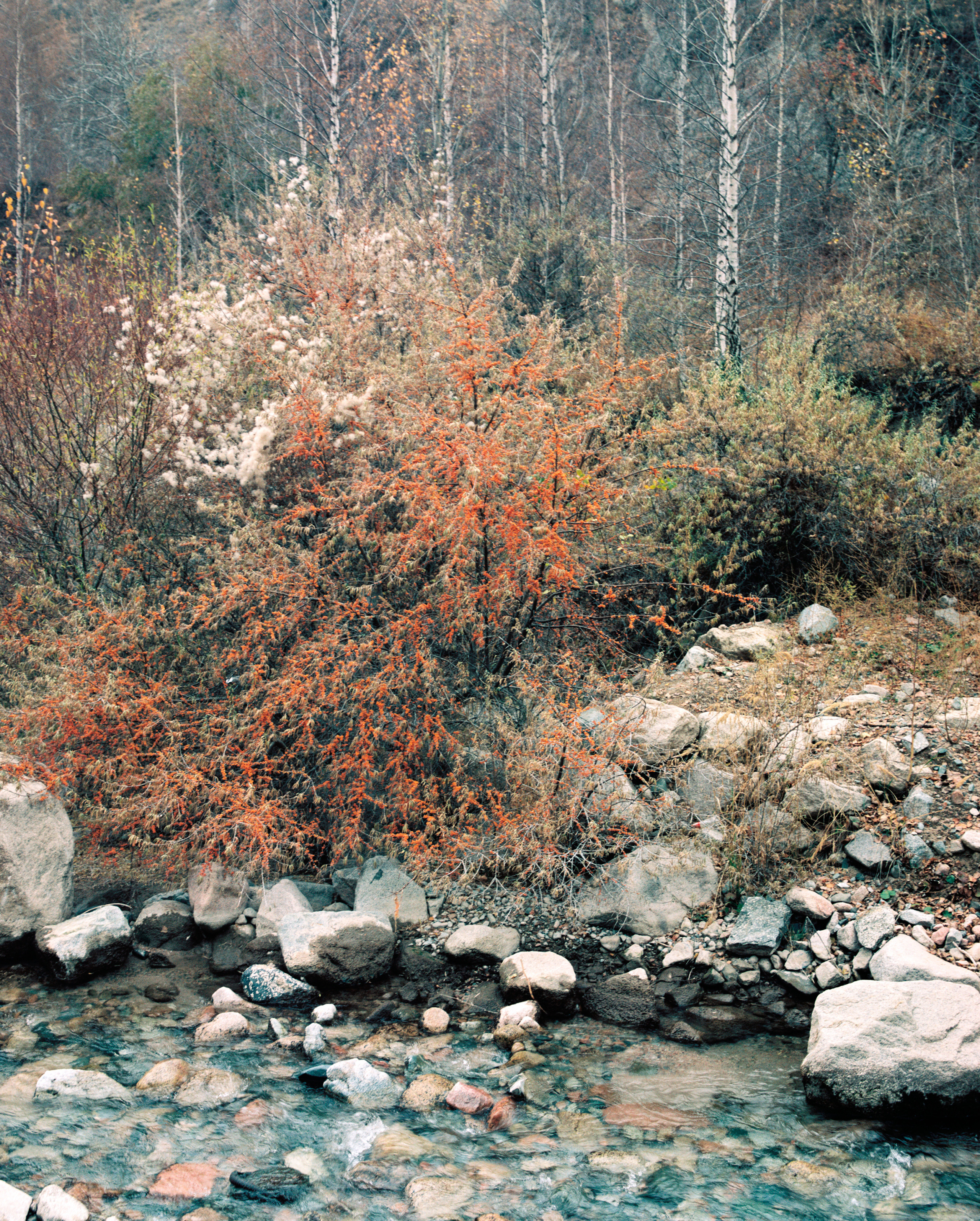 Landscape. Valerii Konkov