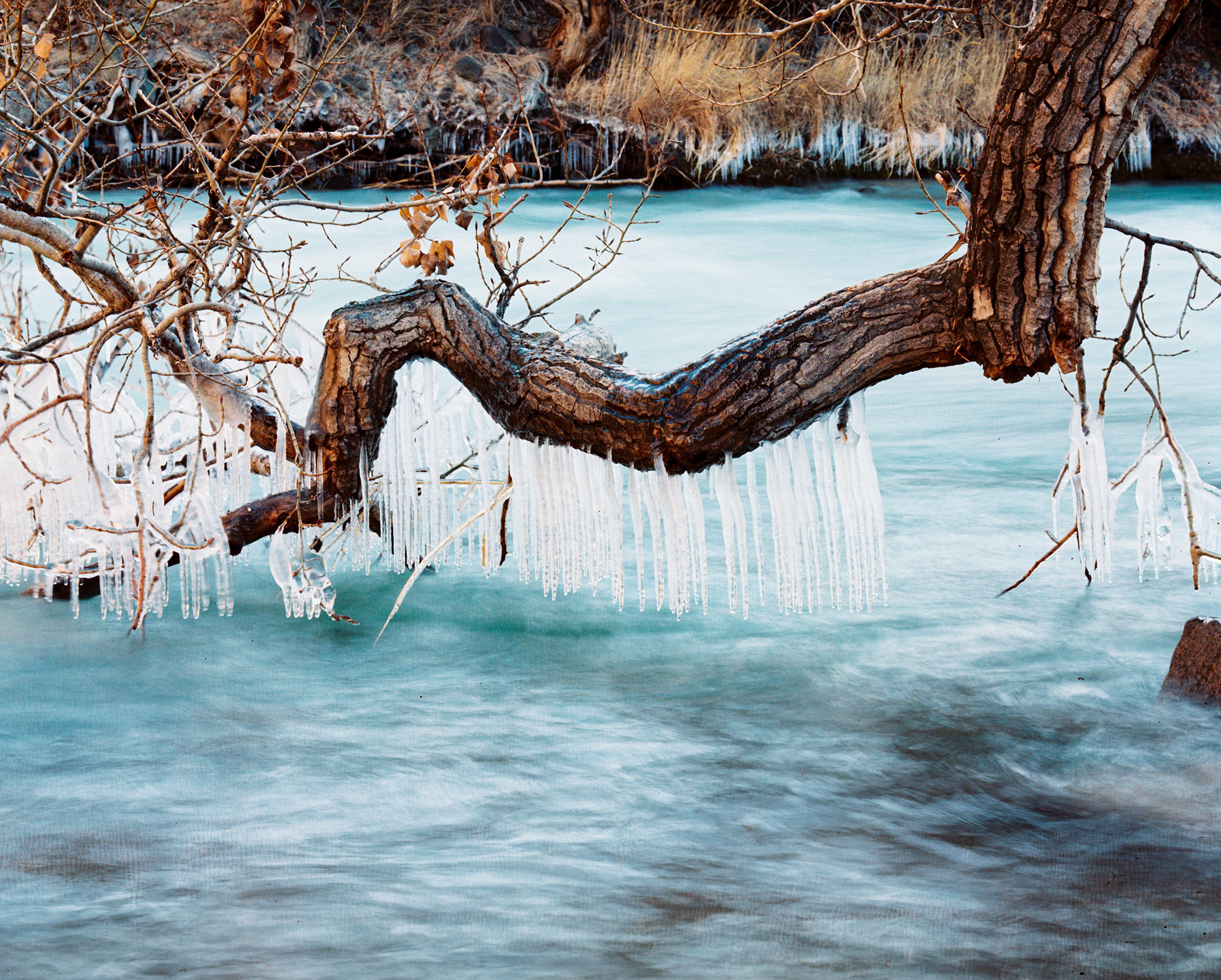 Landscape. Valerii Konkov