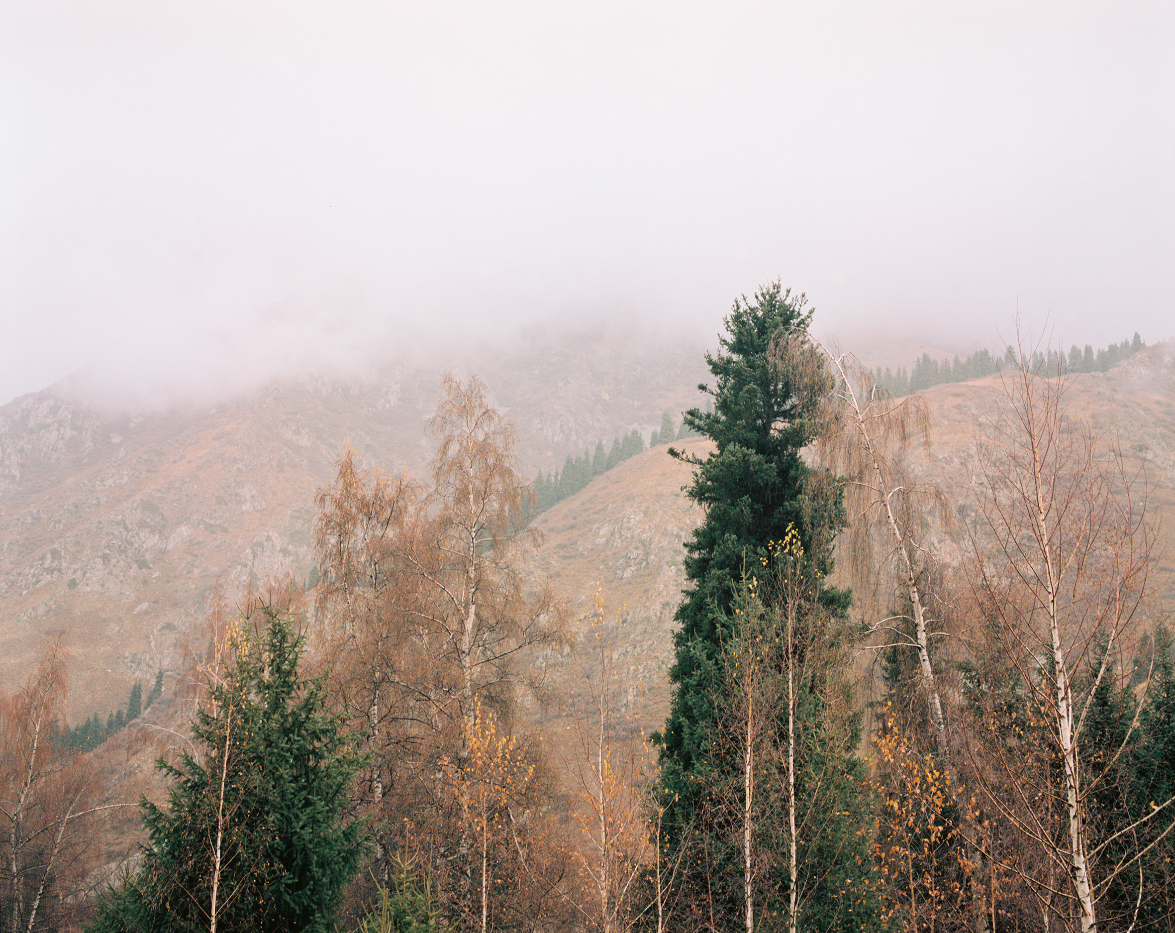 Landscape. Valerii Konkov