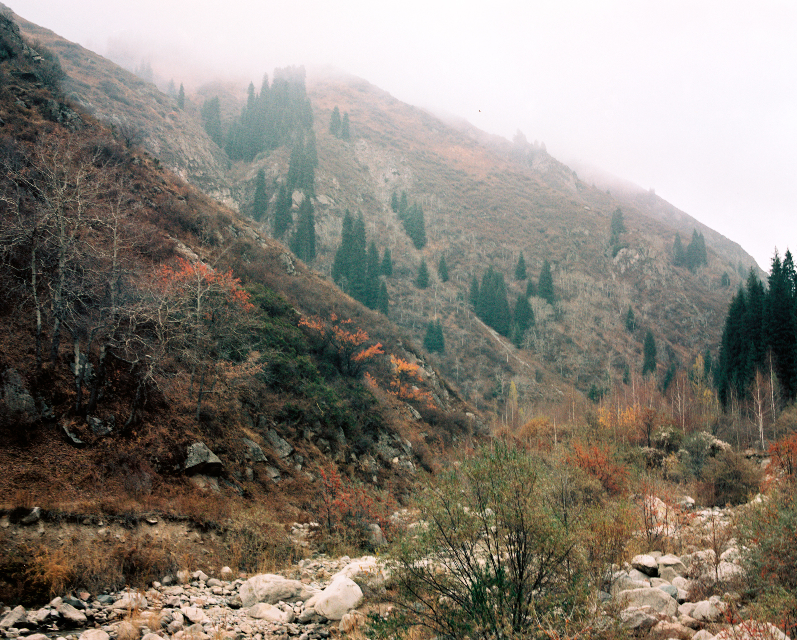 Landscape. Valerii Konkov