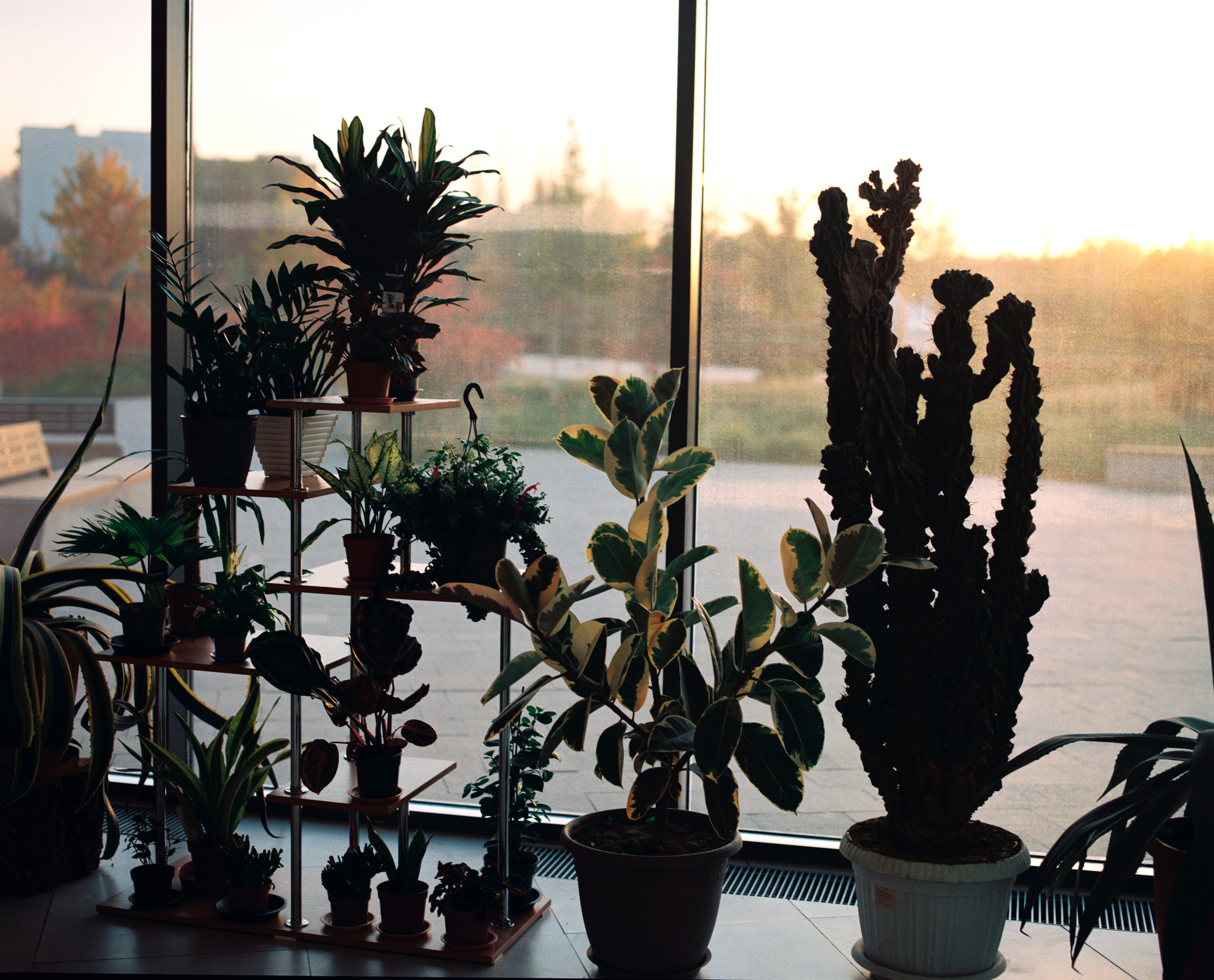 Landscape. Valerii Konkov