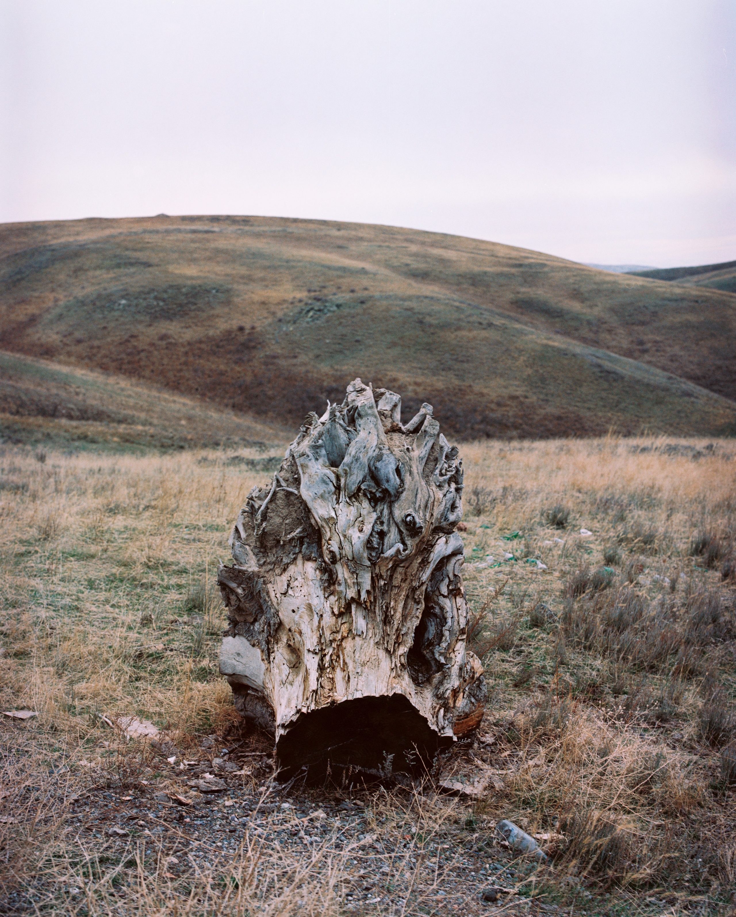 Landscape. Valerii Konkov