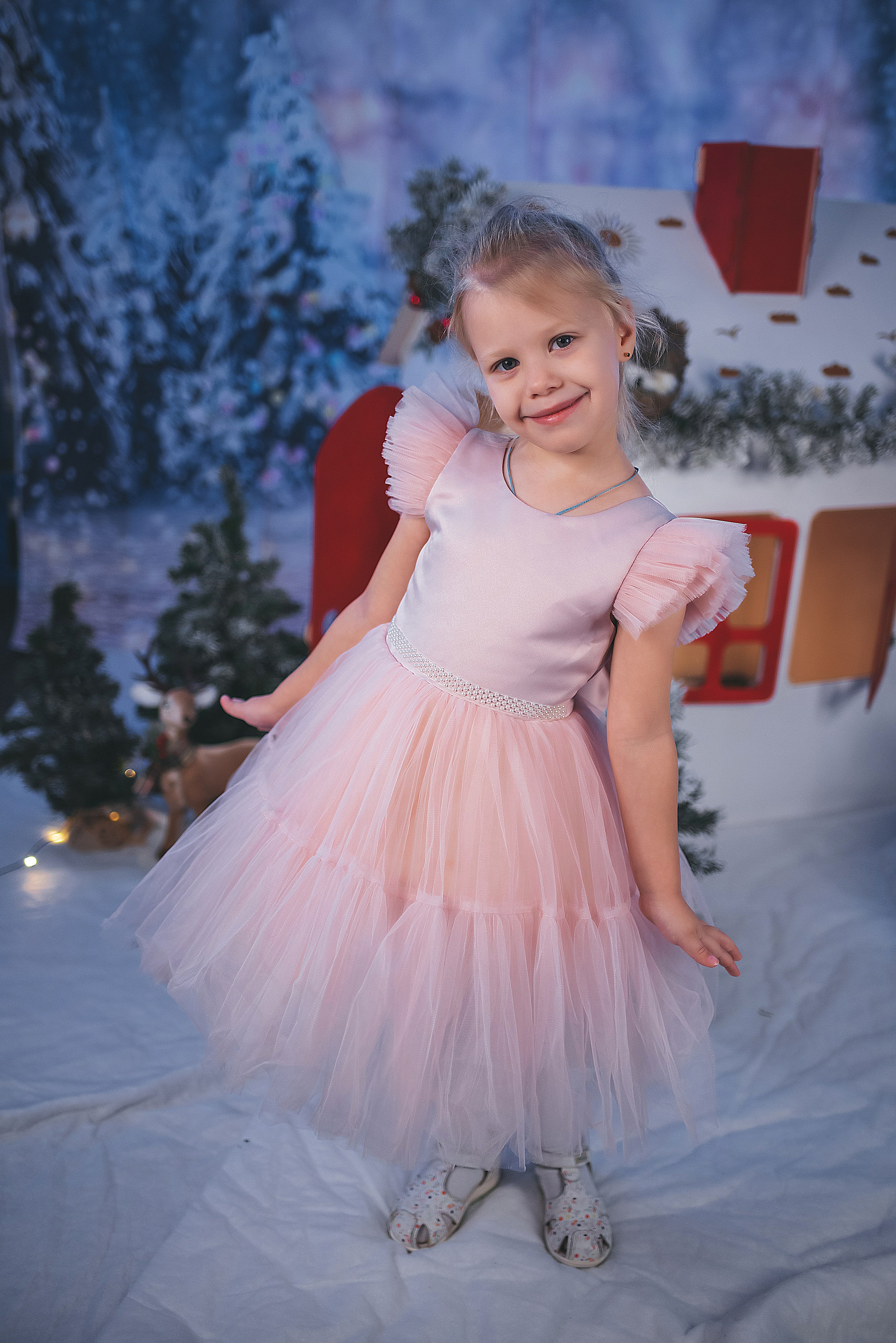 Проект «Новогодний домик». Семейный и детский фотограф в Тейково