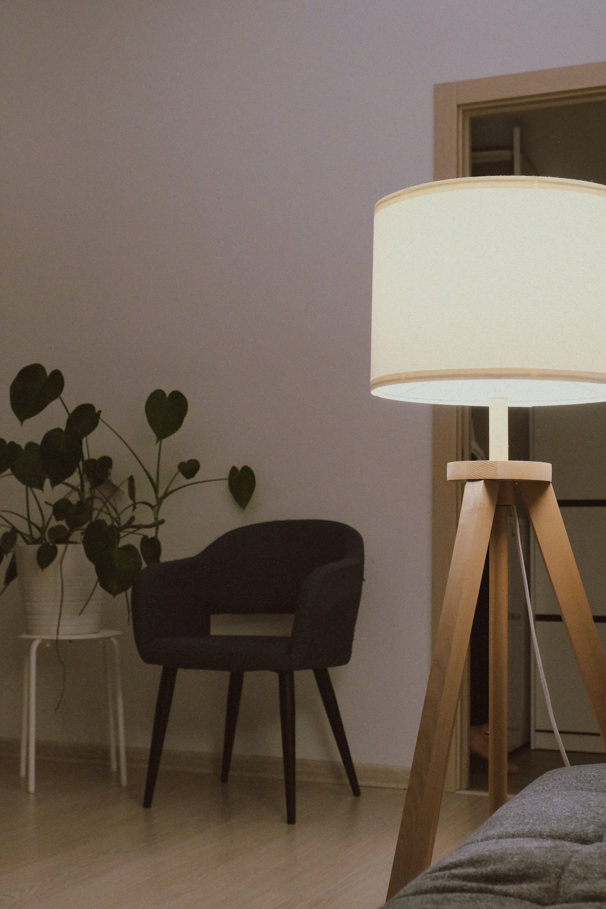 Дома. Татьян гертье