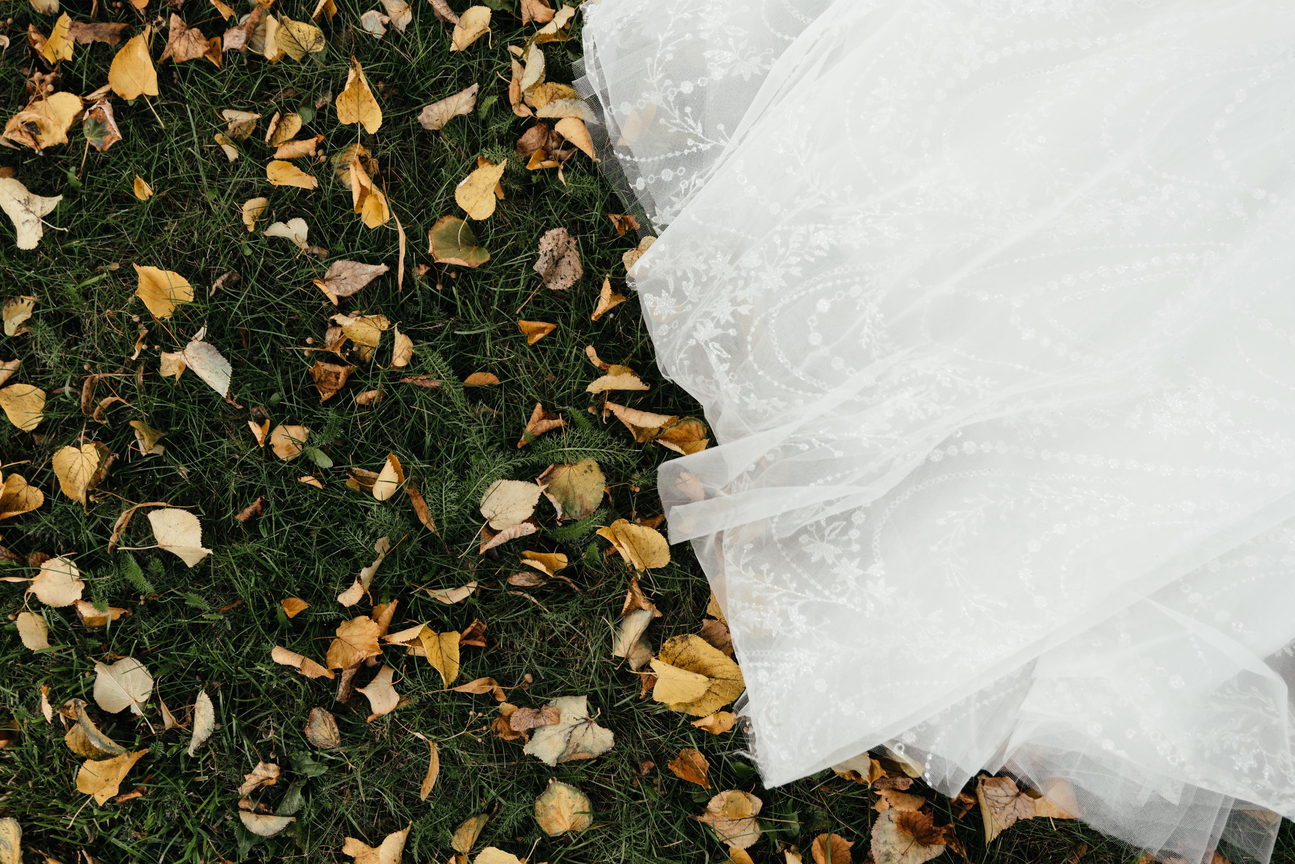 Wedding and family photographer in Dubai Vasilii Albul