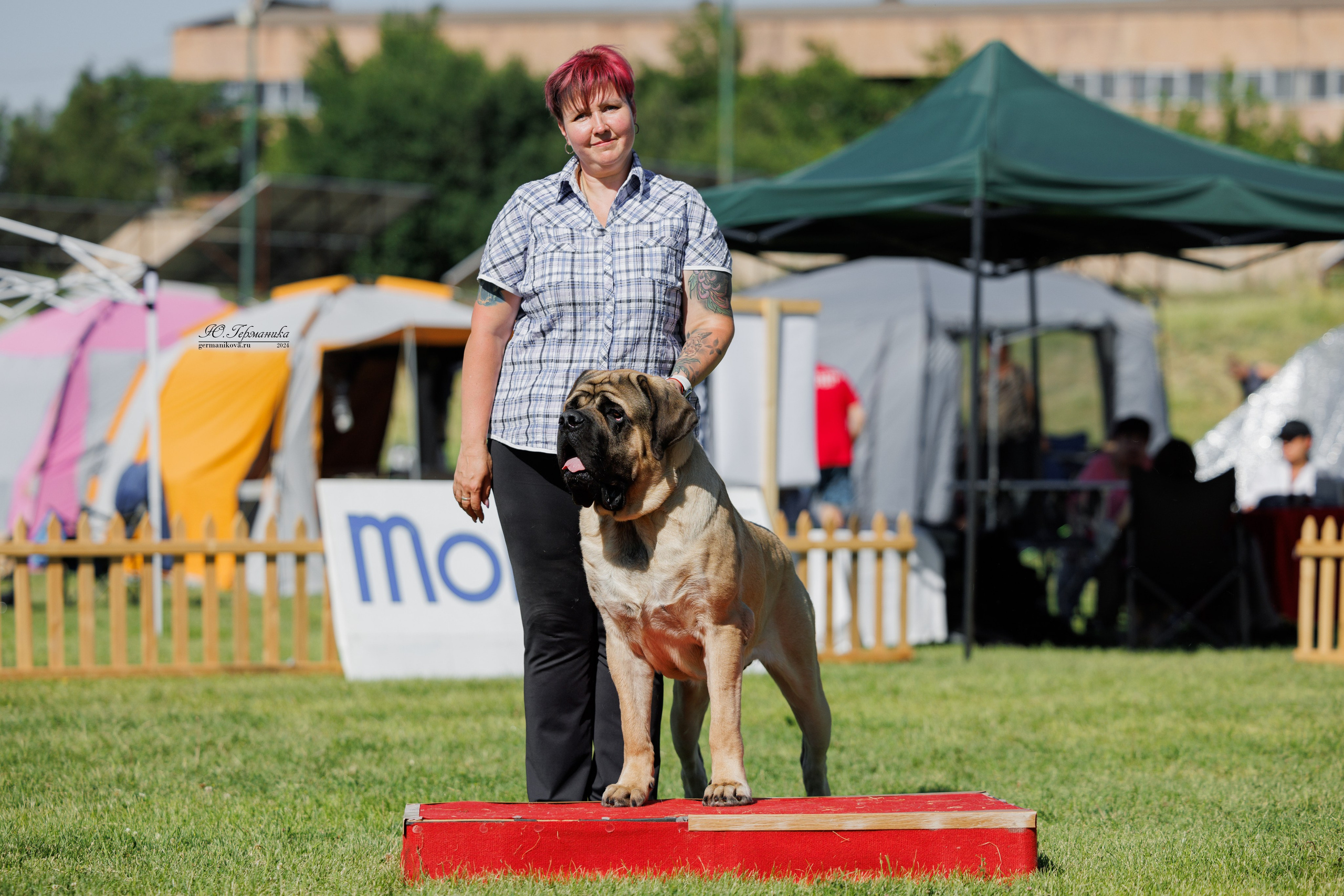 Ереван 3-5.06.2024. Фотограф-анималист Юлия Германика