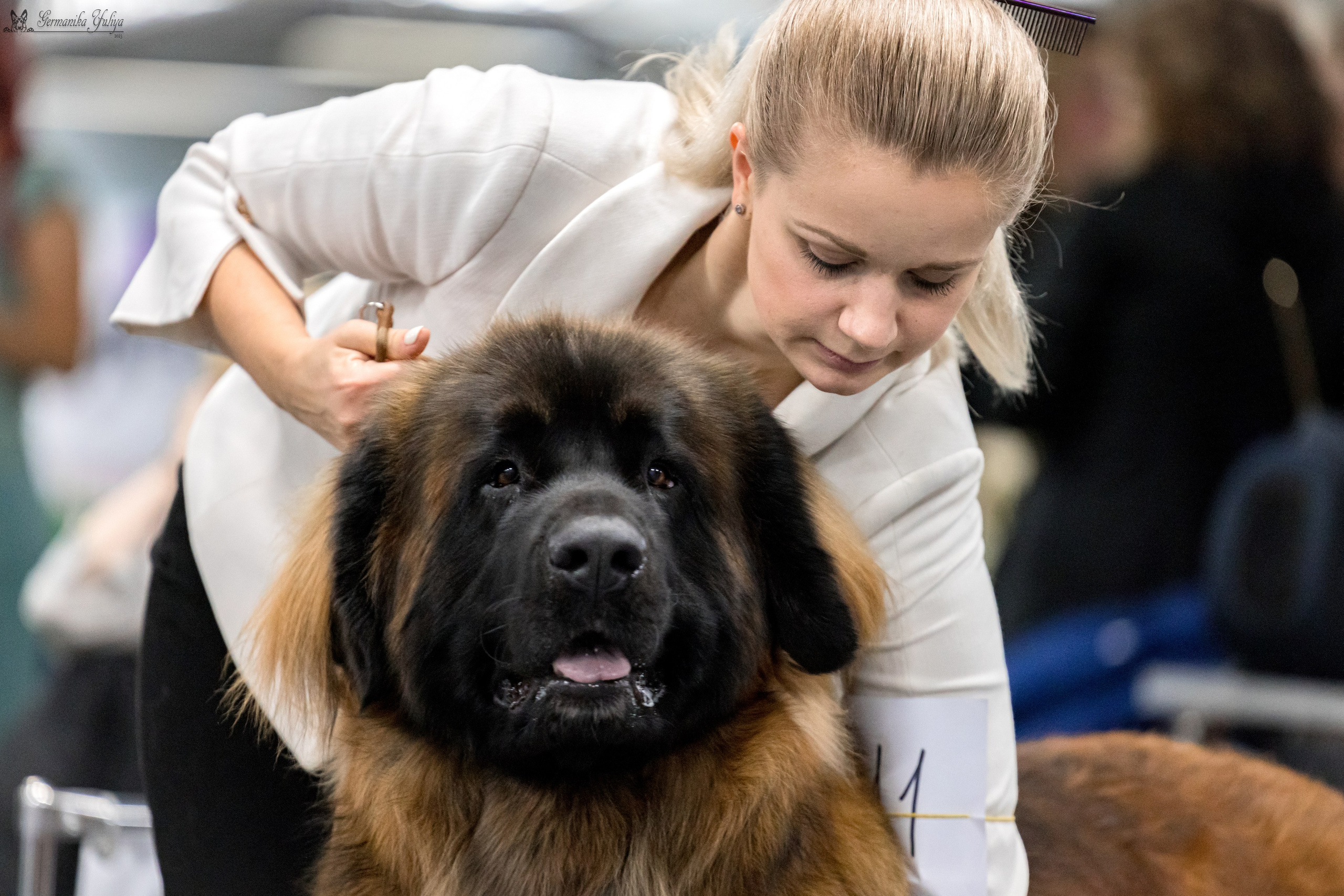 Сфера 29.10,Крокус 4.11,Сфера 12.11.2023. Фотограф-анималист Юлия Германика