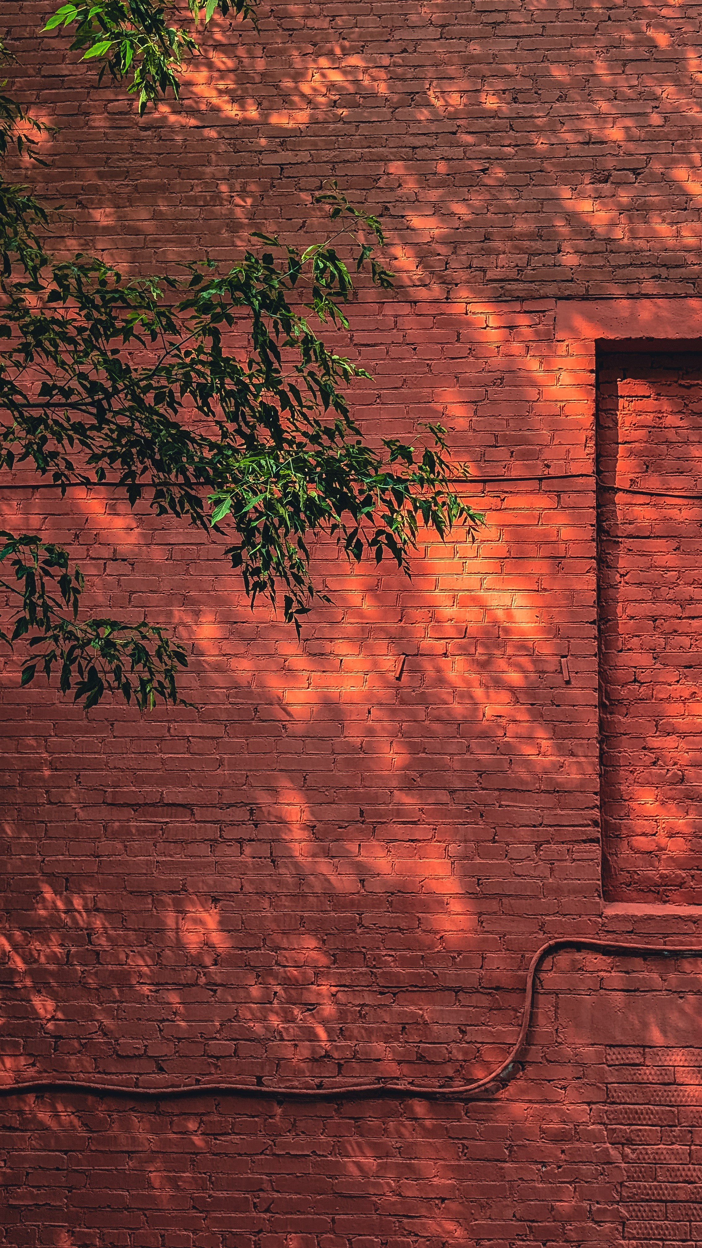 Мобильная фотография. Интерьерный и портретный фотограф в Москве Анна Моногарова