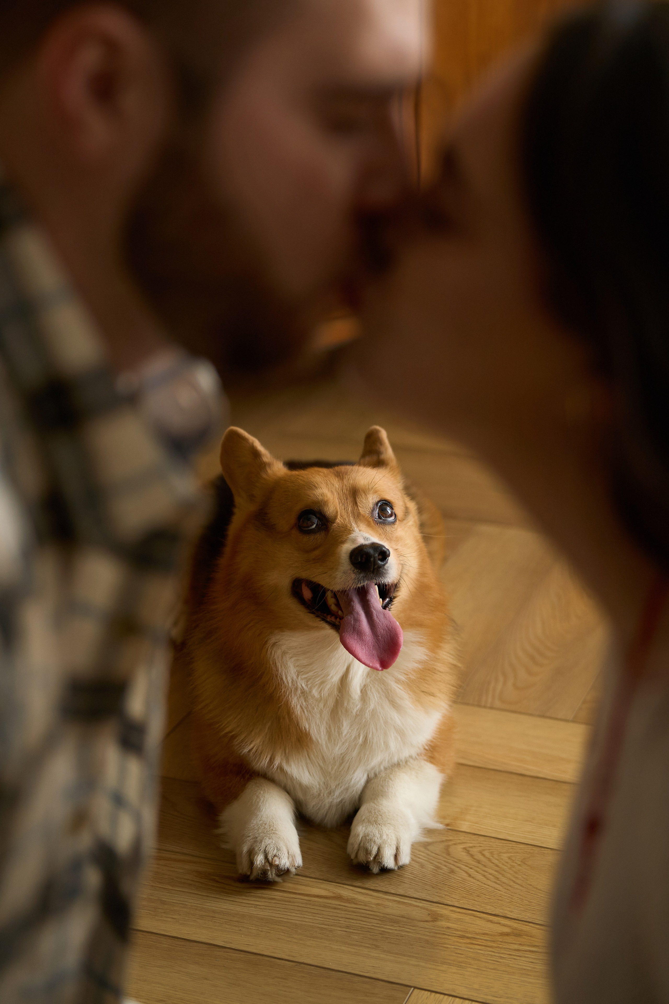 Максим, Кристина и Кофри. Фотограф из Владивостока Юлия Черепова