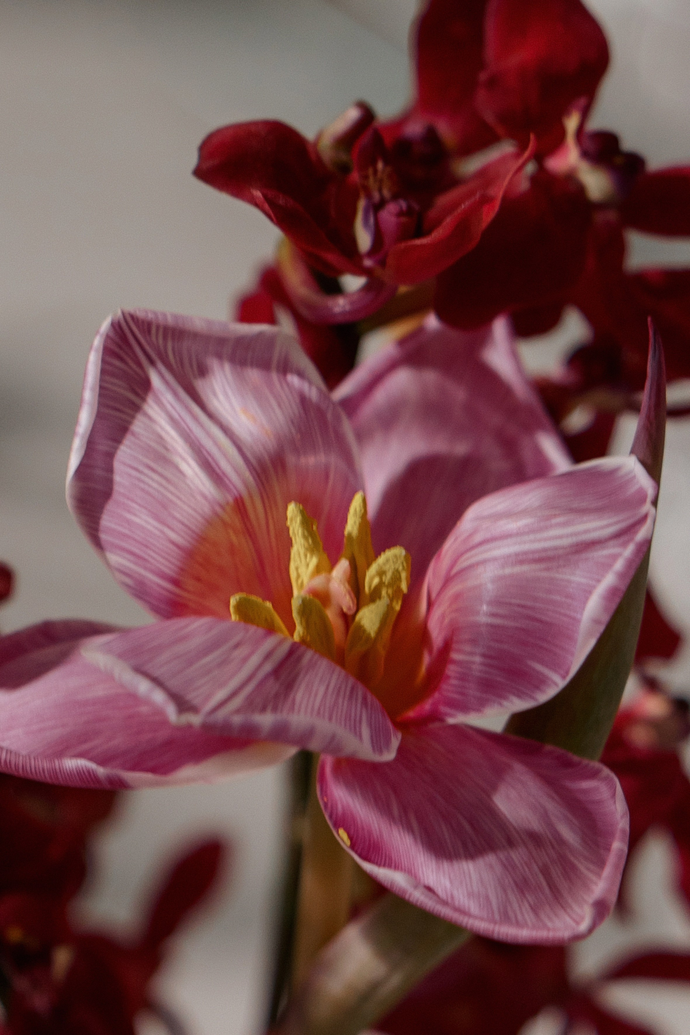 Юлия и Александр в отеле '12 причин' и кафе 'Мишель'. Свадебный фотограф Москва