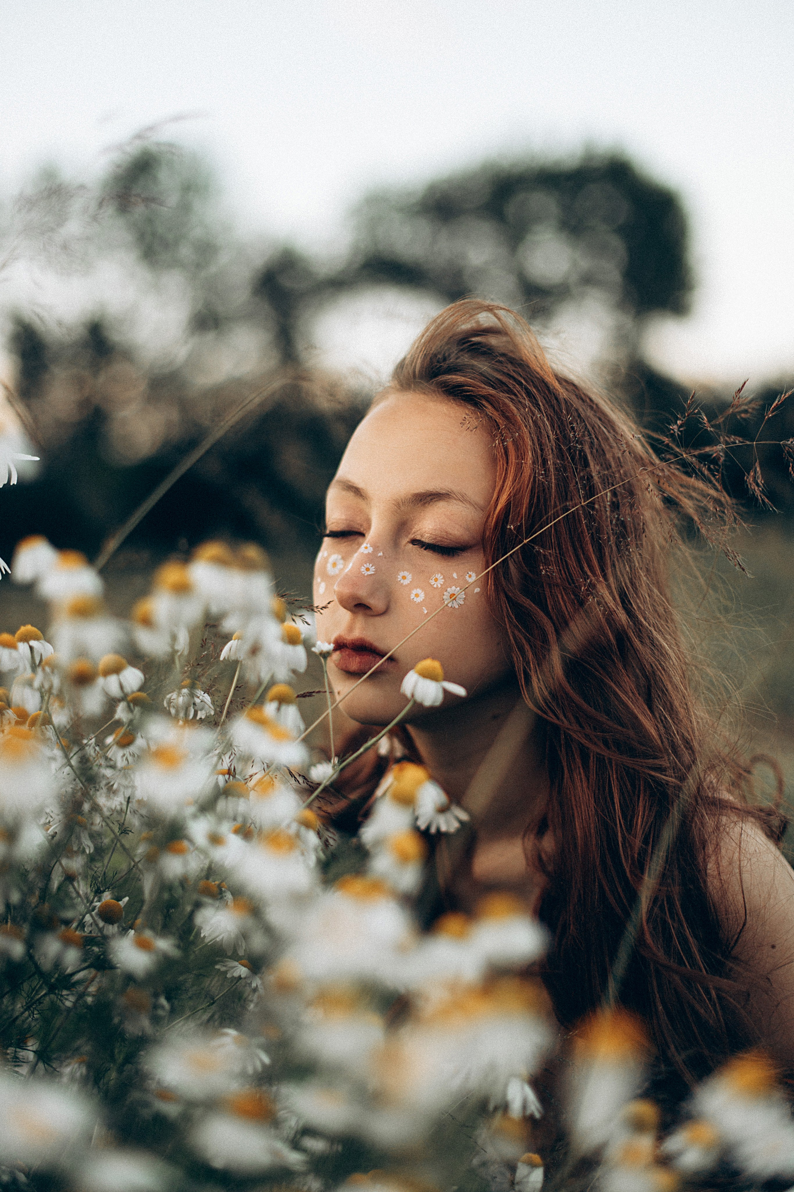 Ромашки. Репортажный и детский фотограф в Минске