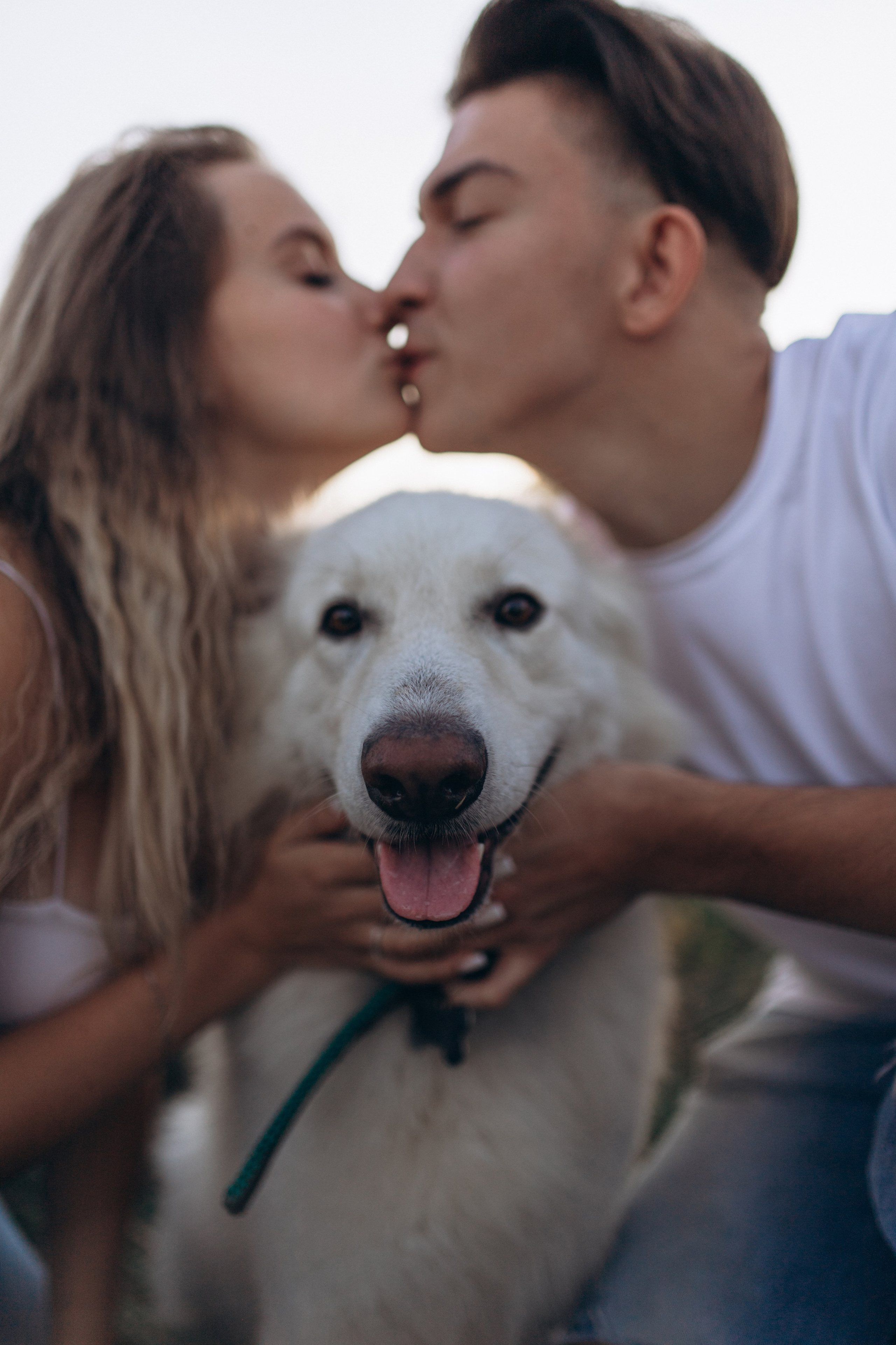 Мы вместе. Главная