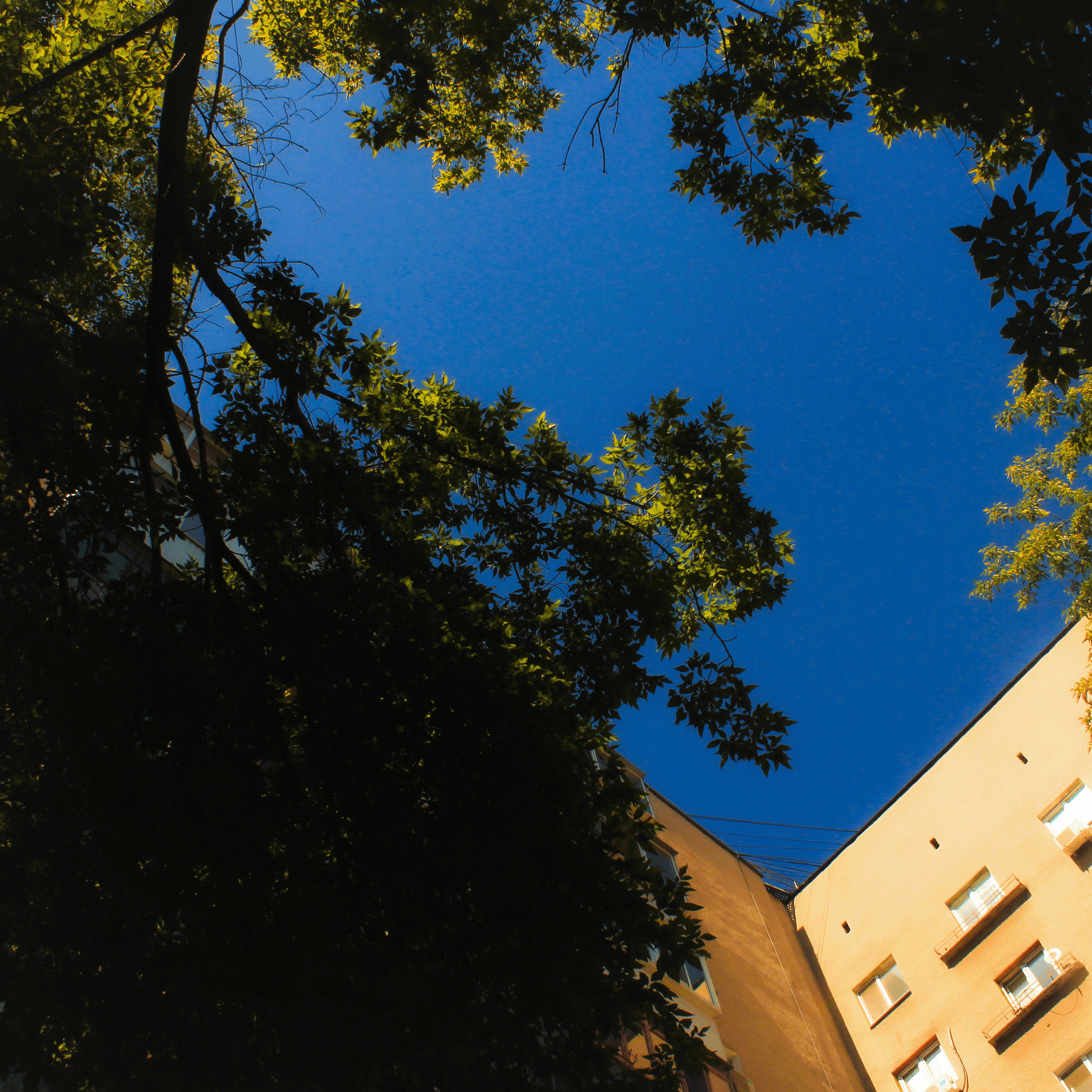 Summertime. Фотограф/дизайнер в Екатеринбурге Хитрый Дмитрий