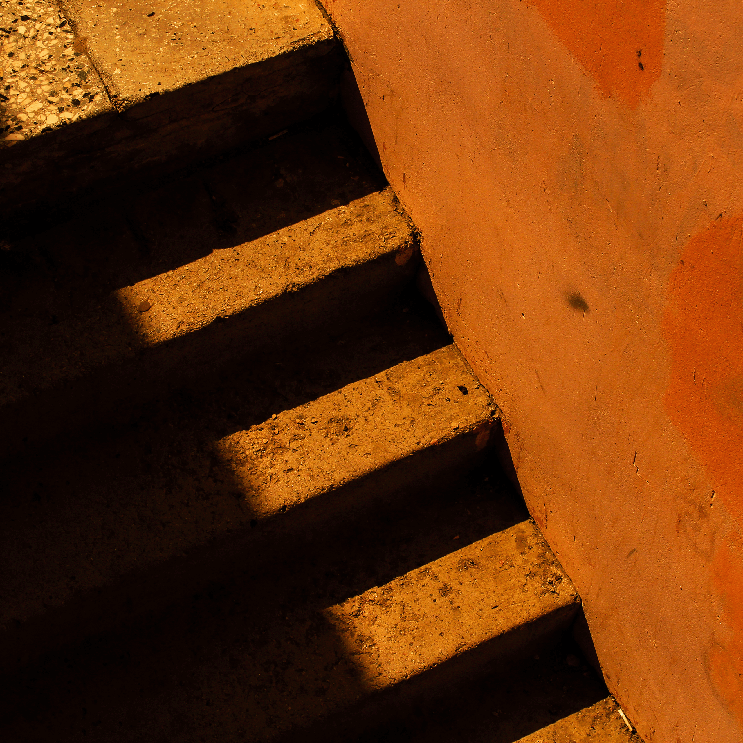 Summertime. Фотограф/дизайнер в Екатеринбурге Хитрый Дмитрий