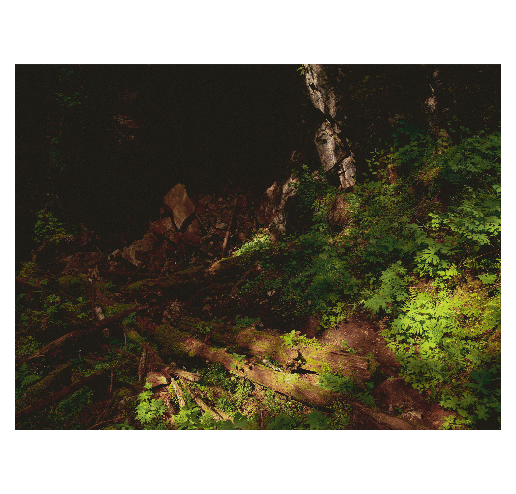 Summer hike. Фотограф/дизайнер в Екатеринбурге Хитрый Дмитрий