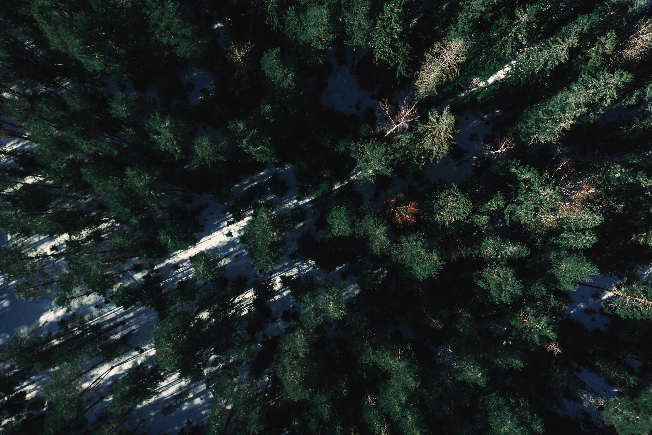 Churza | Фотограф в Санкт-Петербурге | Портретная, репортажная, рекламная съемка