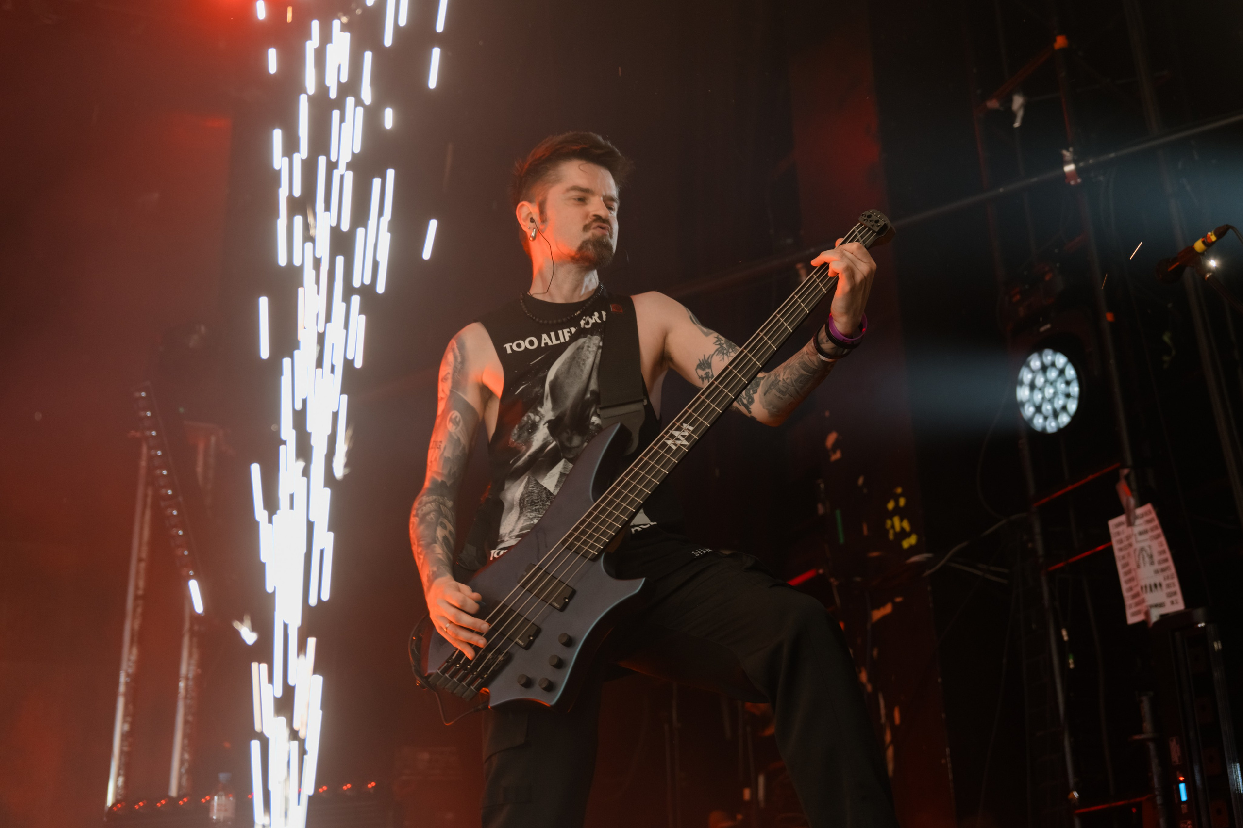 СЛОТ. Магия музыки в кадре: Концертная Фотография