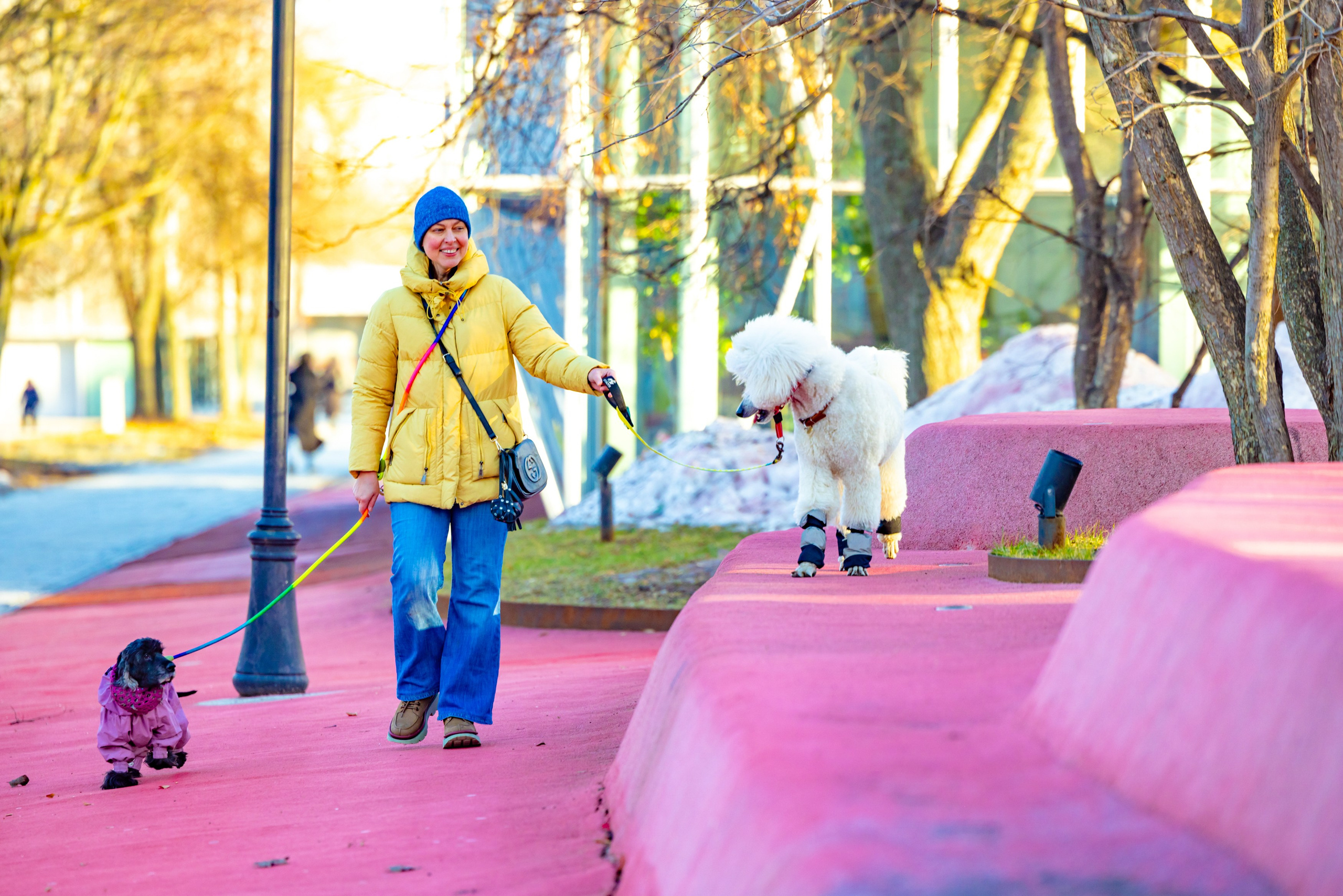 Клуб грумеров (прогулка и семинары). Виктория Зудина — фотограф в Москве