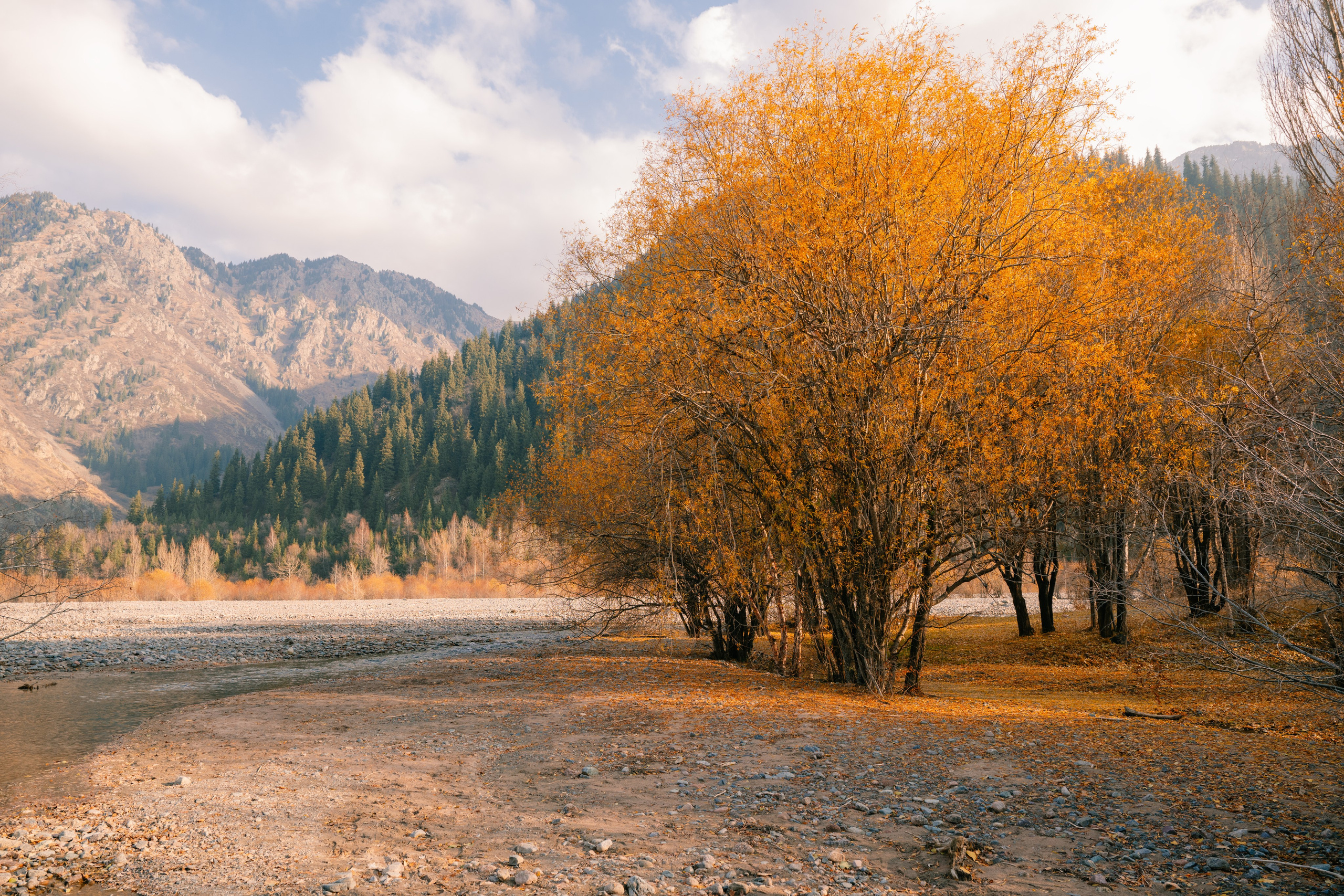 Озеро Иссык, осень 2025. Фотограф в Алматы — Алексей Коньков | Репортаж, свадьбы, портреты
